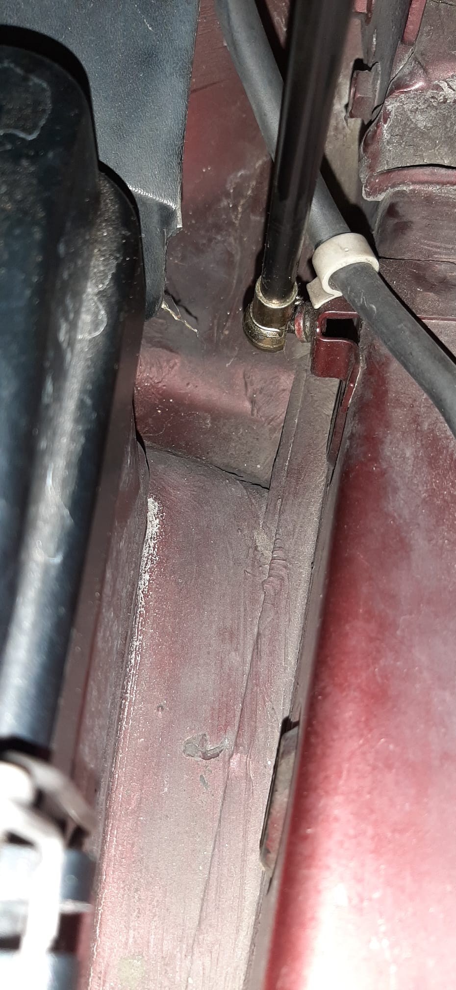 WhatsApp Image 2023-11-19 at 21.35.24.jpeg