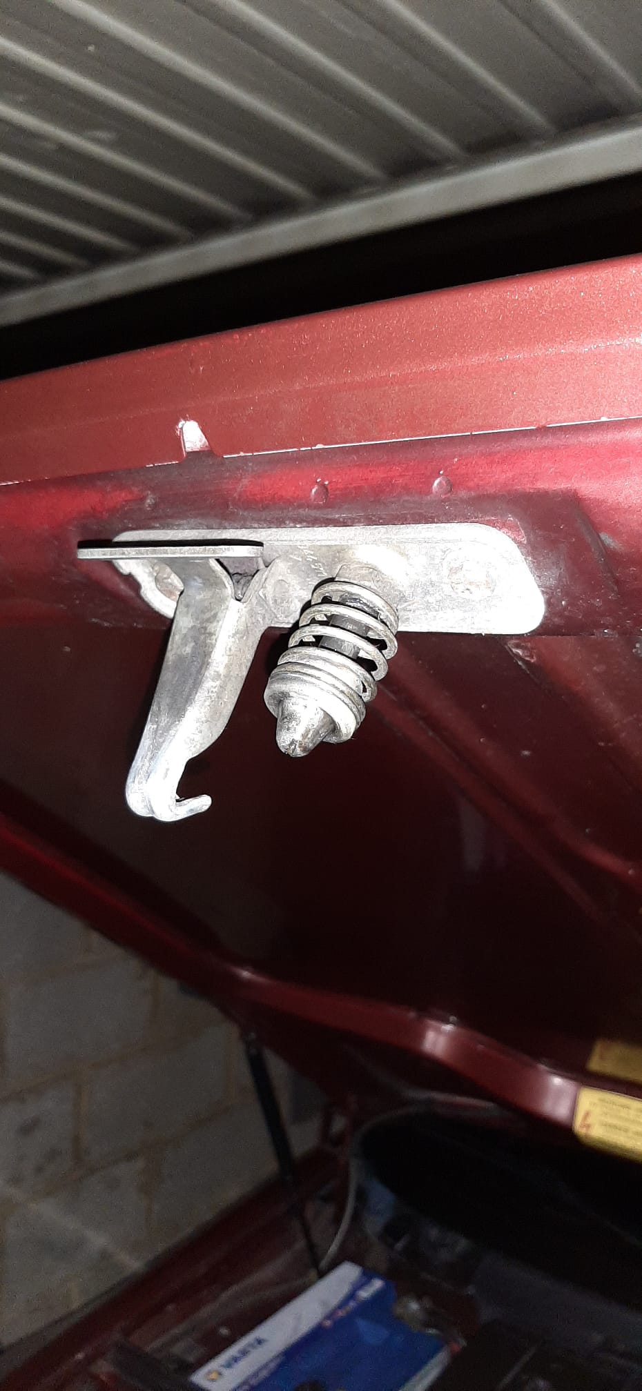 WhatsApp Image 2023-11-19 at 21.35.22.jpeg