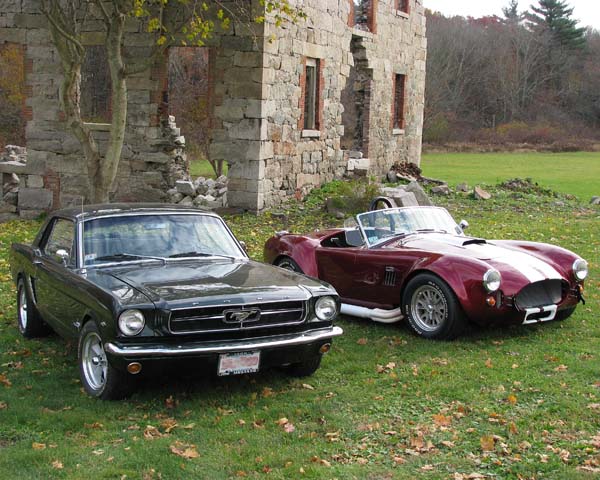 stang&cobra_small (1).jpeg