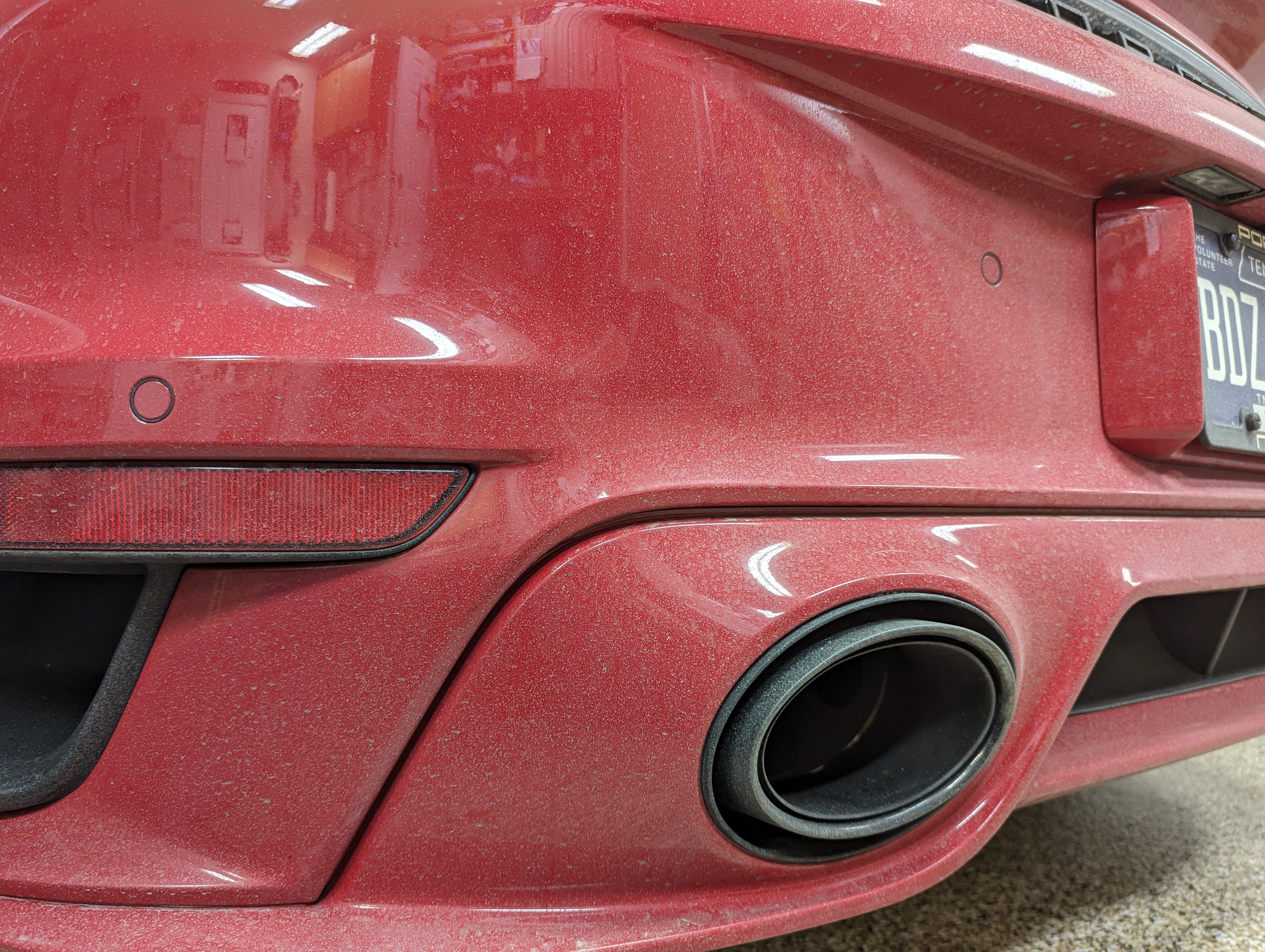 PXL_20240212_013231090 - Copy.jpg