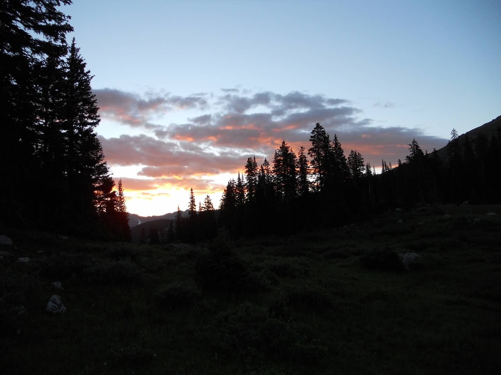 HATS_CO_2015 163.jpg