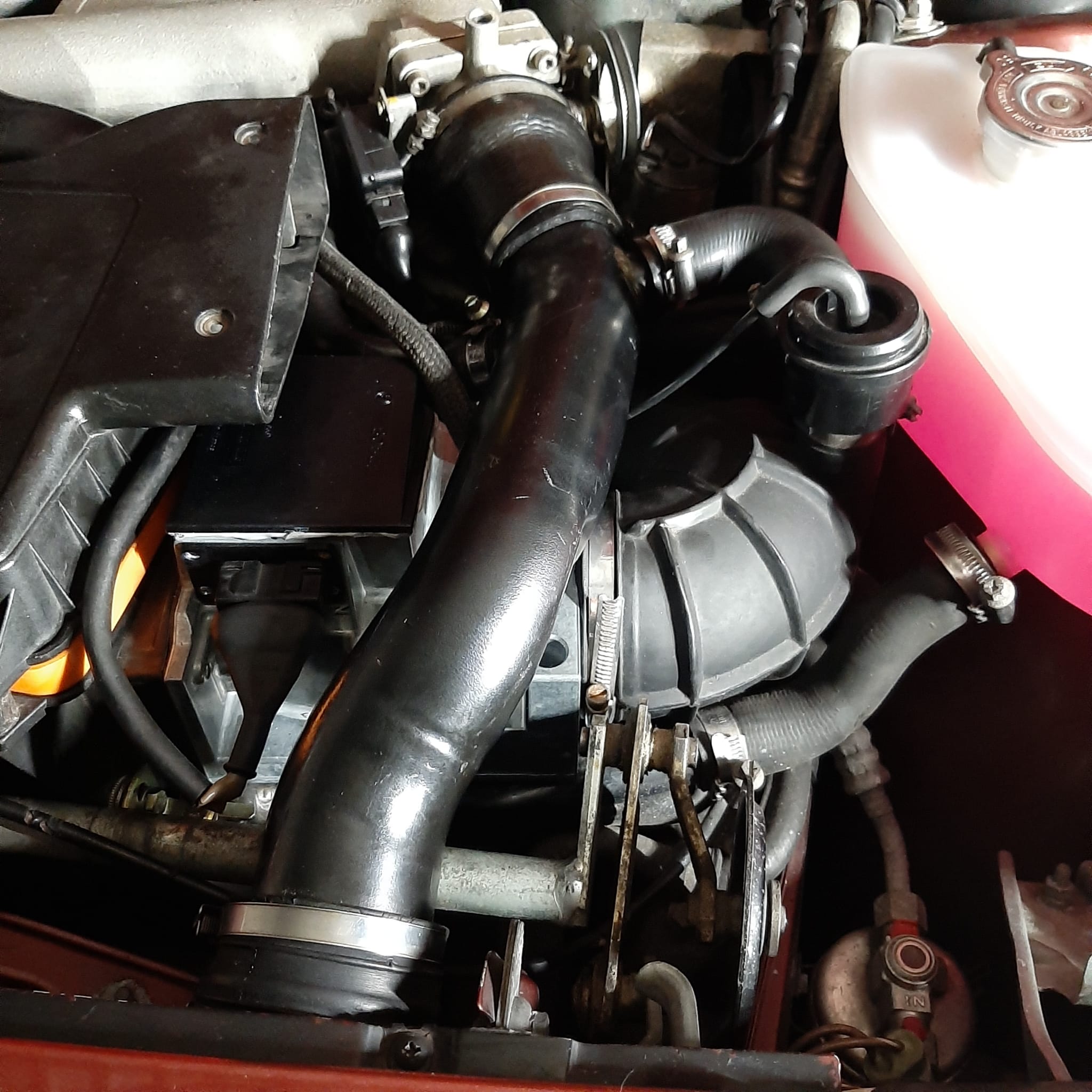 WhatsApp Image 2024-03-09 at 16.47.33.jpeg