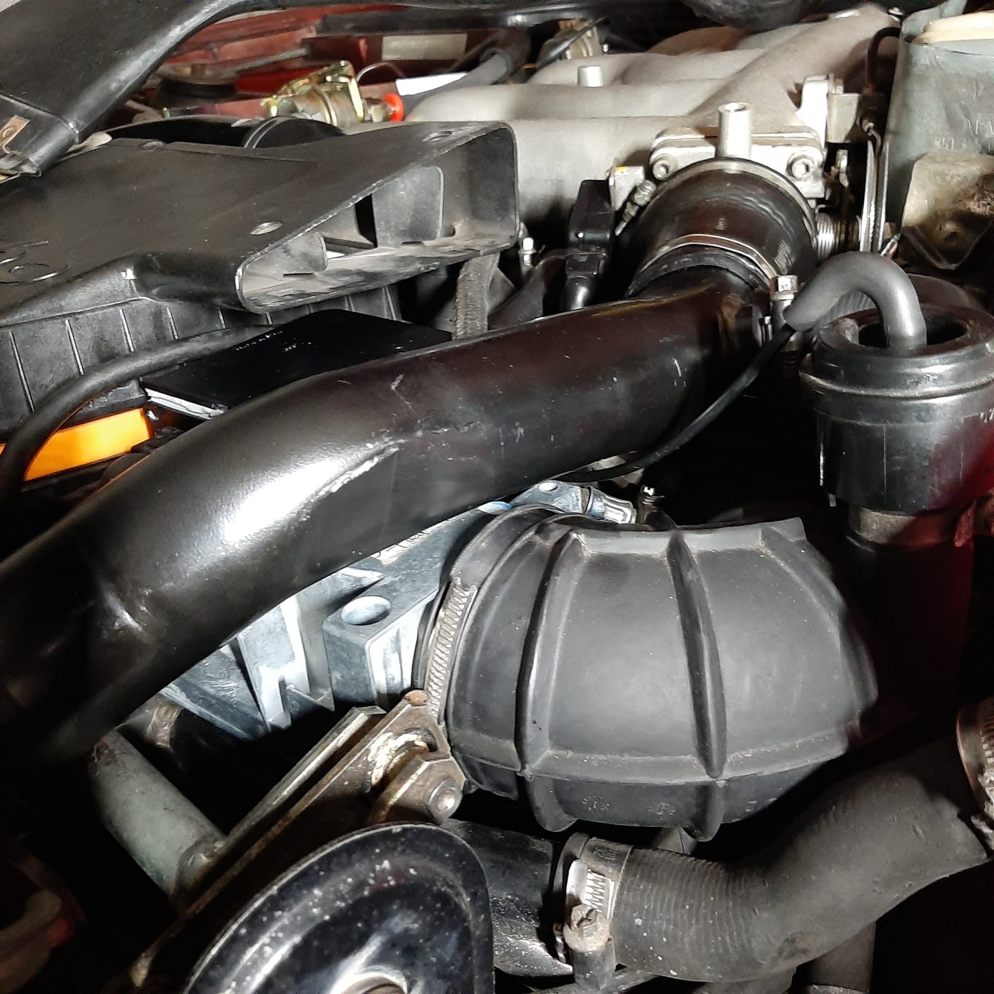 WhatsApp Image 2024-03-09 at 16.47.32.jpeg