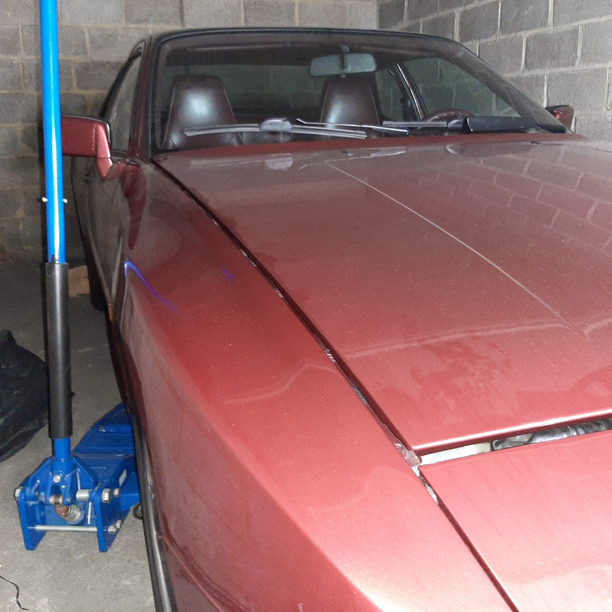 WhatsApp Image 2024-03-10 at 11.39.23.jpeg