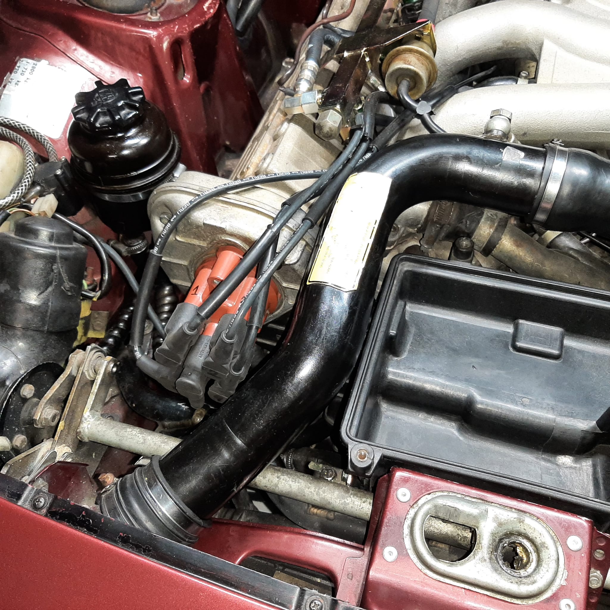 WhatsApp Image 2024-03-10 at 11.39.43.jpeg