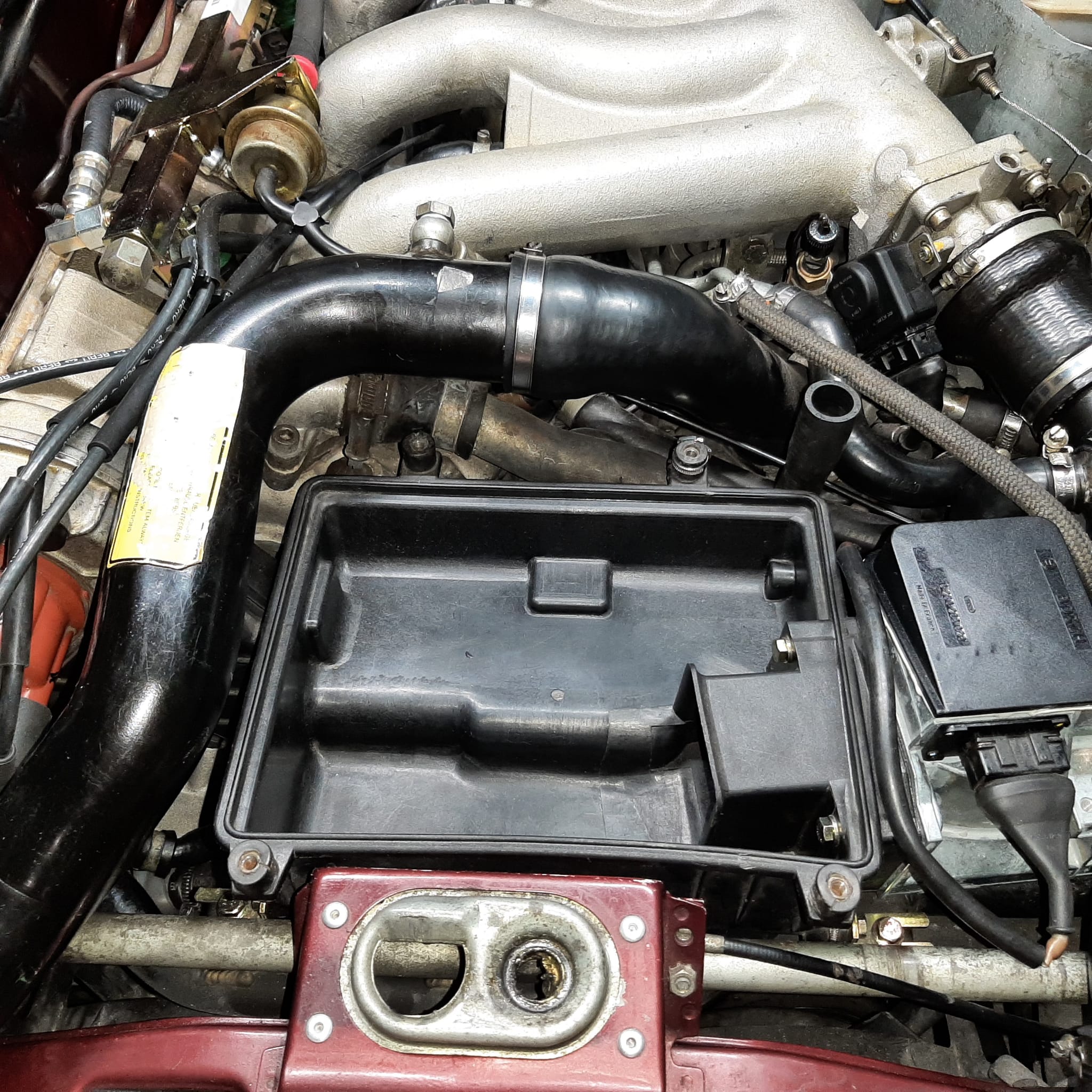 WhatsApp Image 2024-03-10 at 11.39.41.jpeg