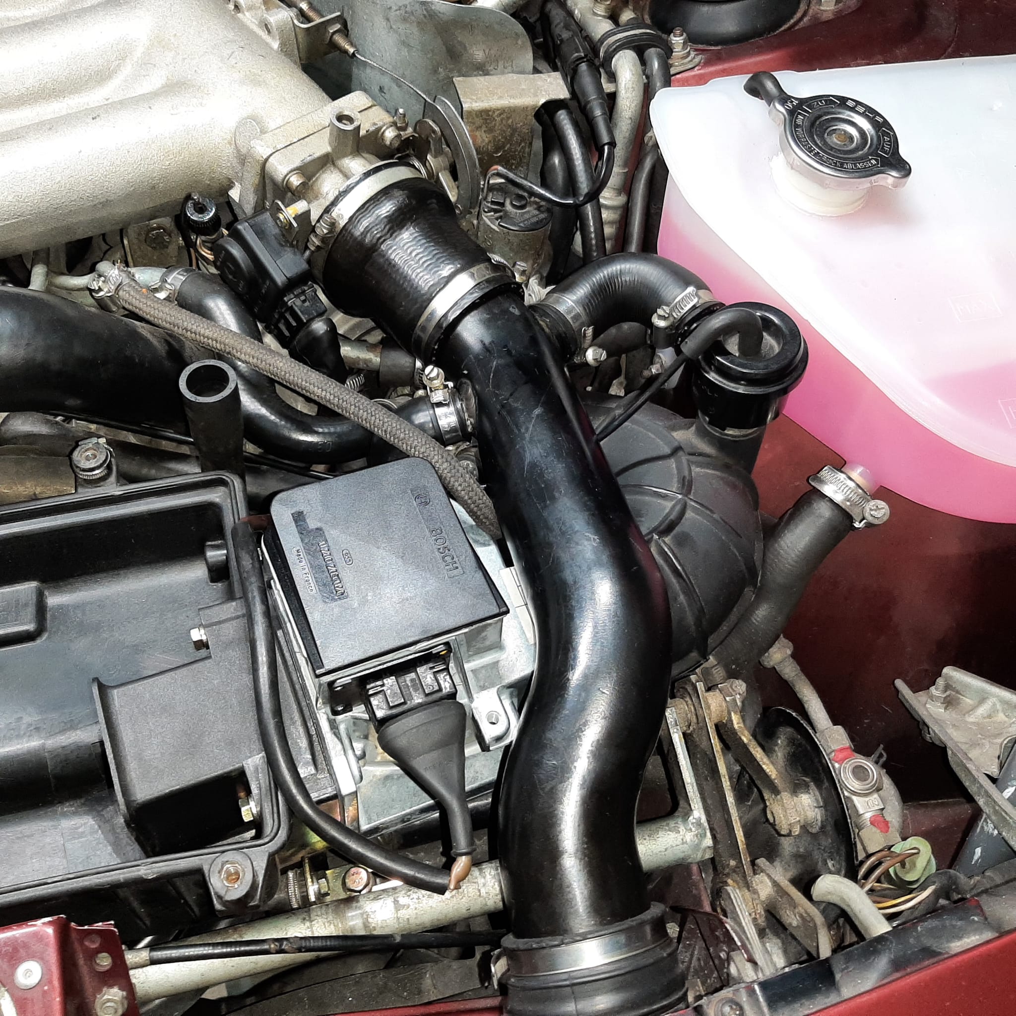 WhatsApp Image 2024-03-10 at 11.39.39.jpeg