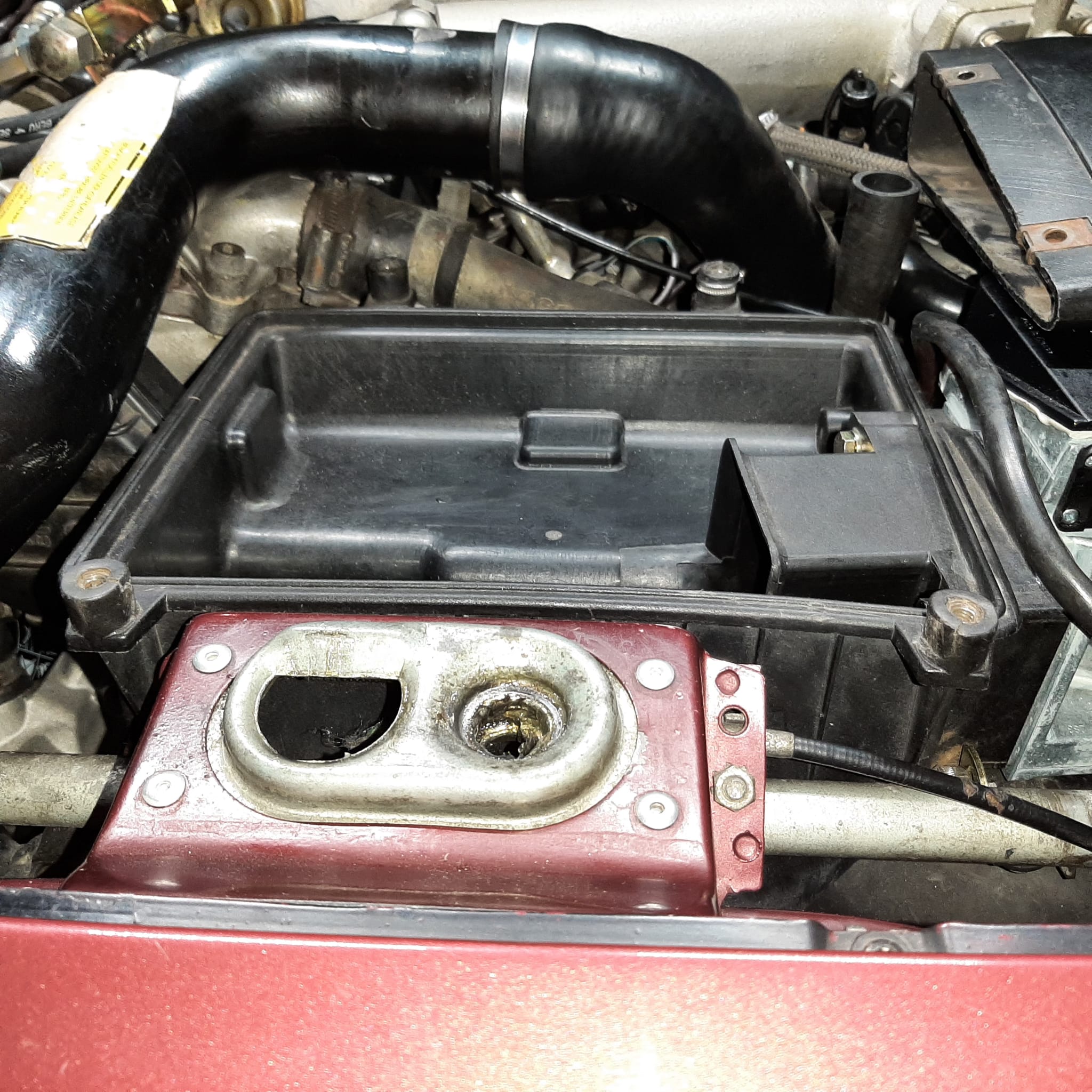 WhatsApp Image 2024-03-10 at 11.39.35 (1).jpeg