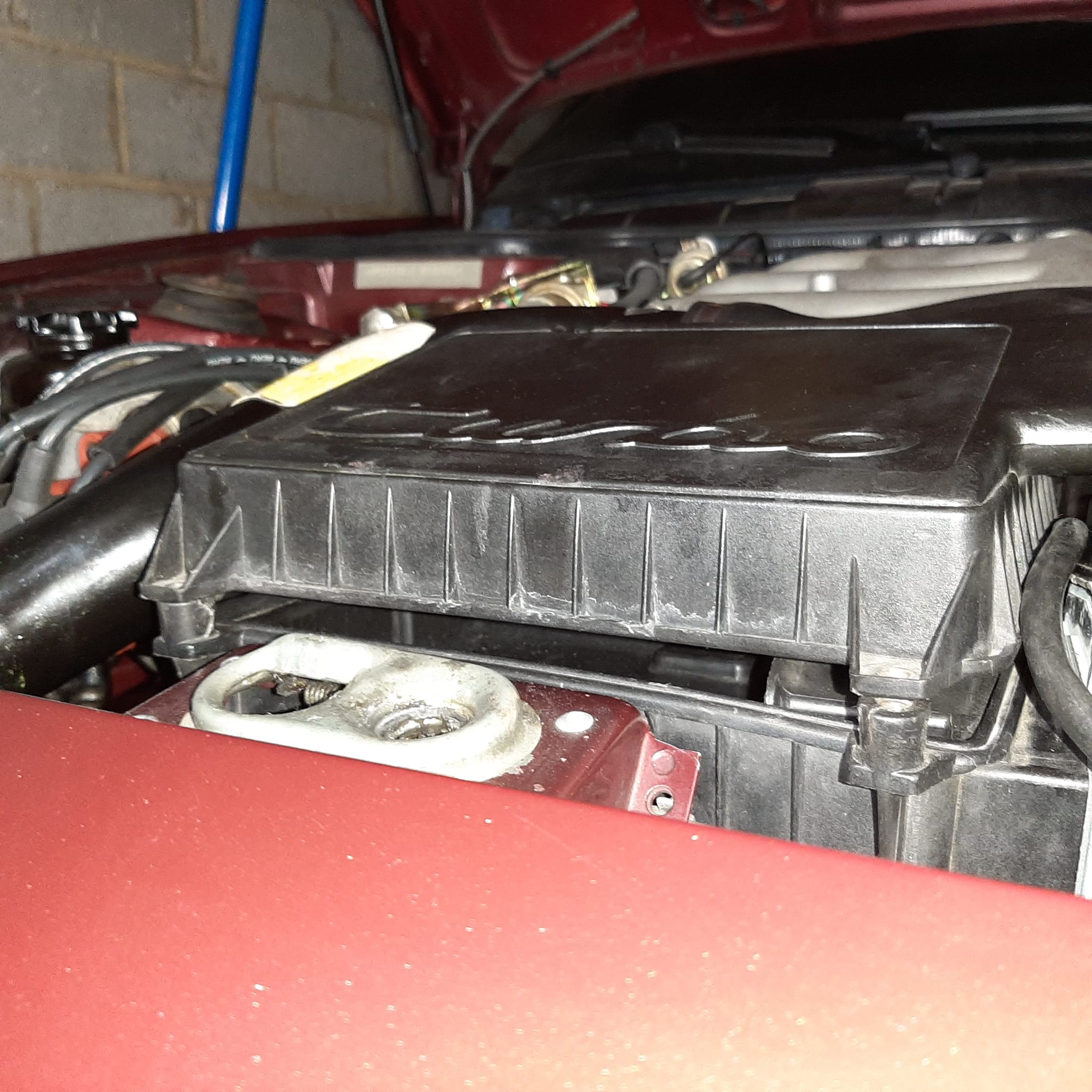 WhatsApp Image 2024-03-10 at 11.39.53.jpeg