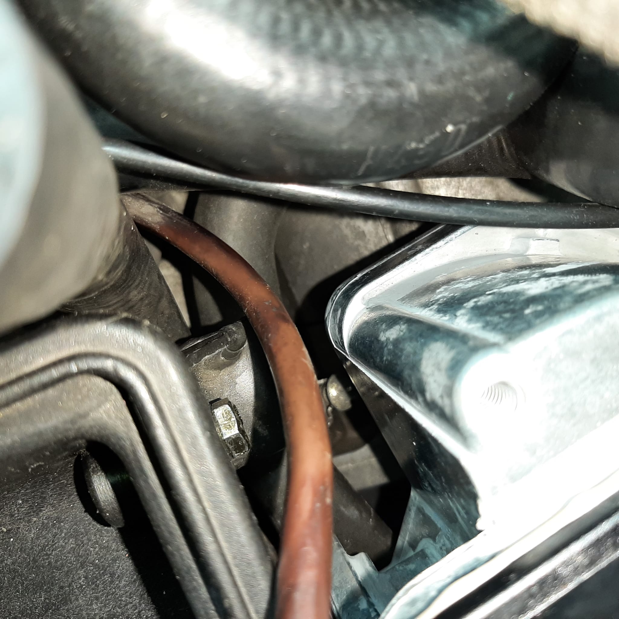 WhatsApp Image 2024-03-10 at 11.39.49.jpeg