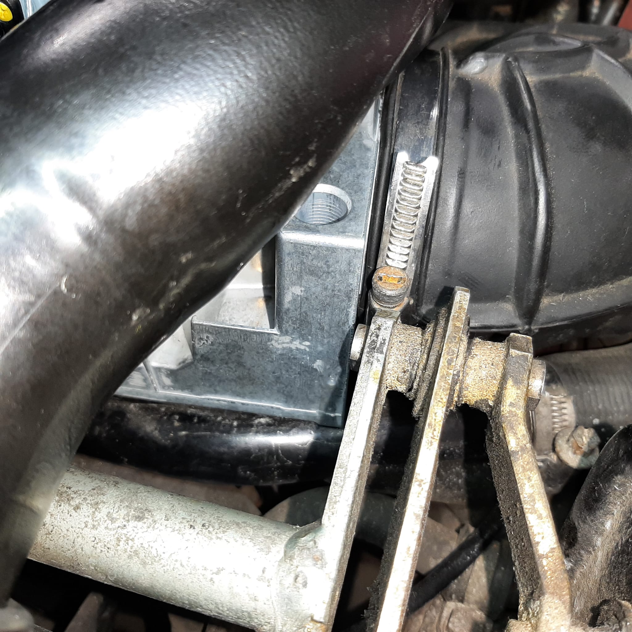 WhatsApp Image 2024-03-10 at 11.39.46.jpeg