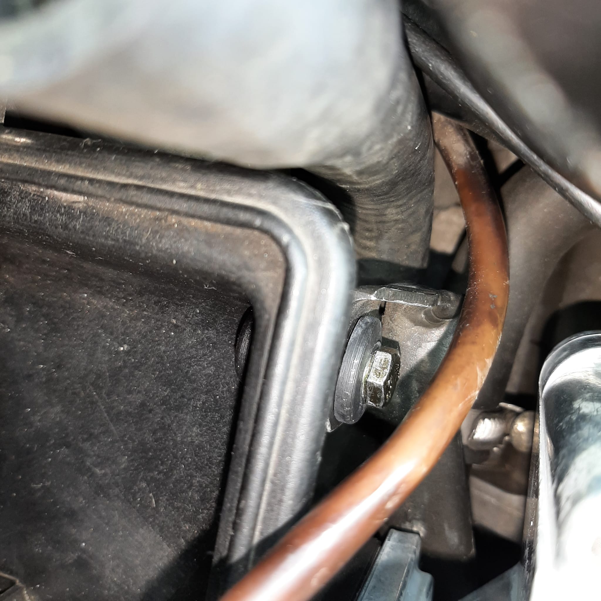 WhatsApp Image 2024-03-10 at 11.39.44.jpeg