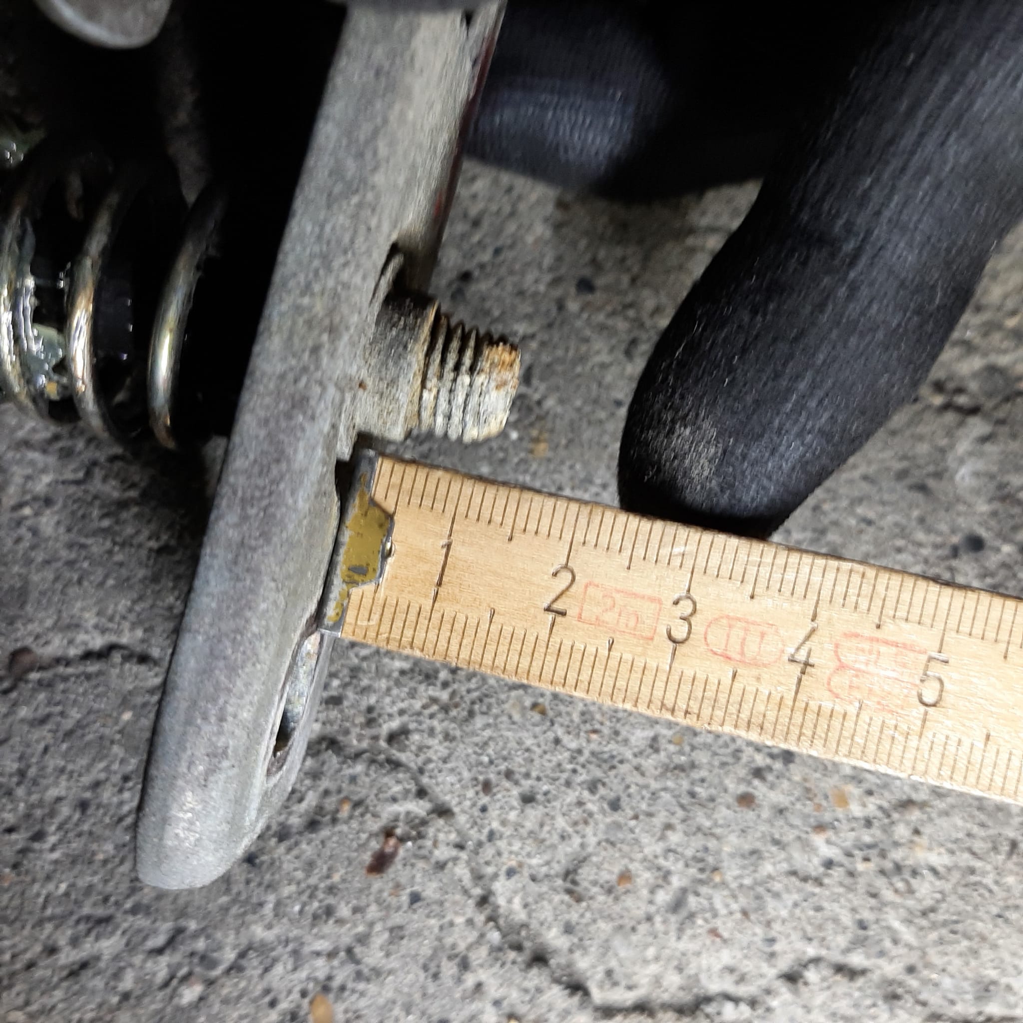 WhatsApp Image 2024-03-12 at 11.16.27.jpeg