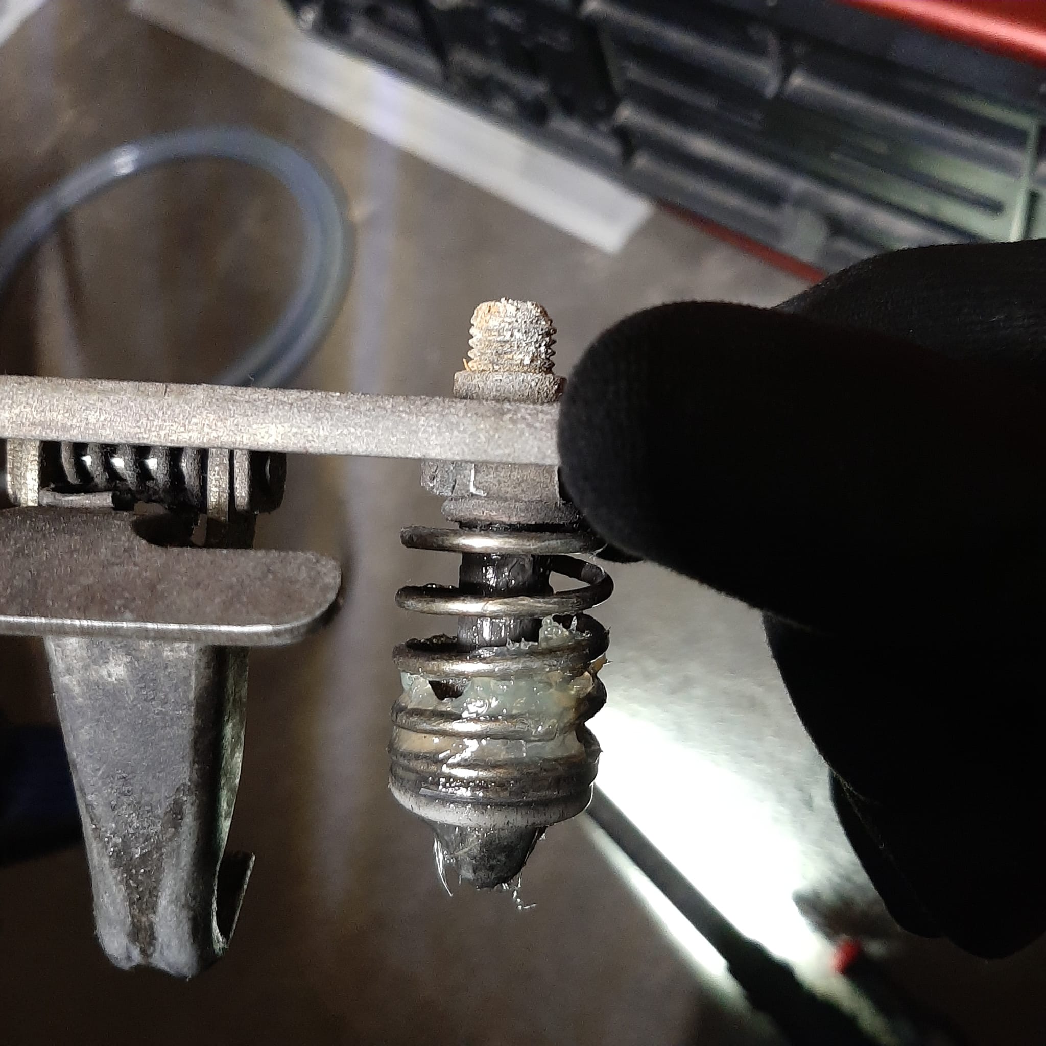 WhatsApp Image 2024-03-12 at 11.16.26.jpeg