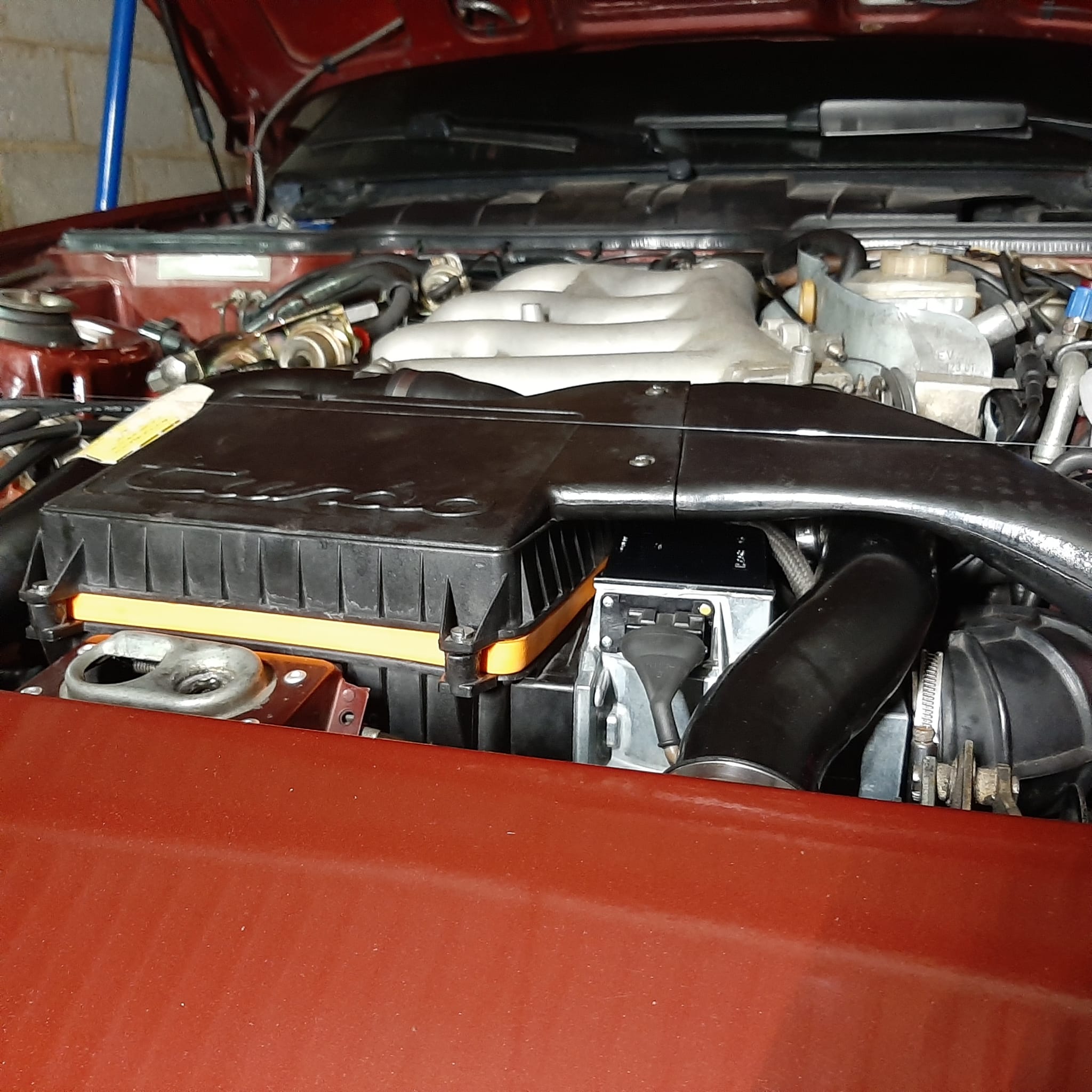 WhatsApp Image 2024-03-12 at 11.16.24.jpeg