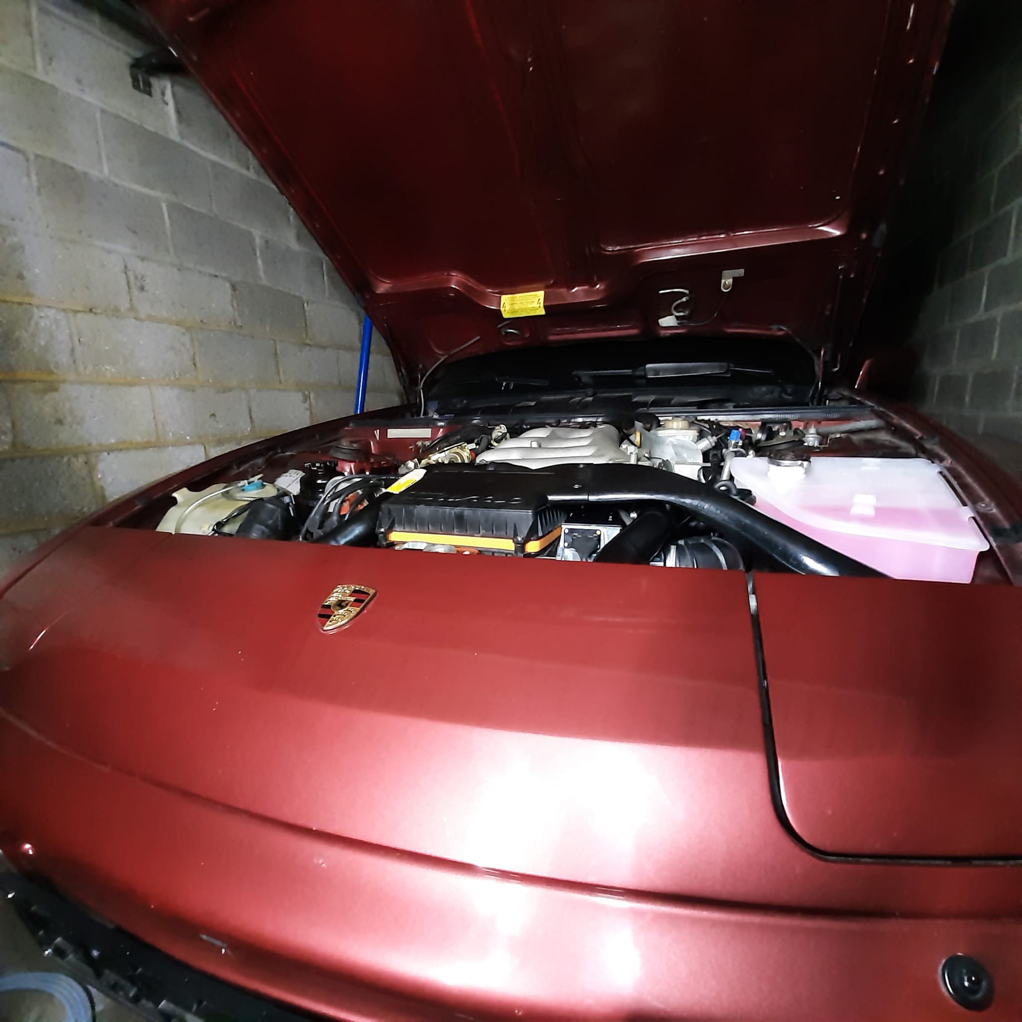 WhatsApp Image 2024-03-12 at 11.16.21.jpeg