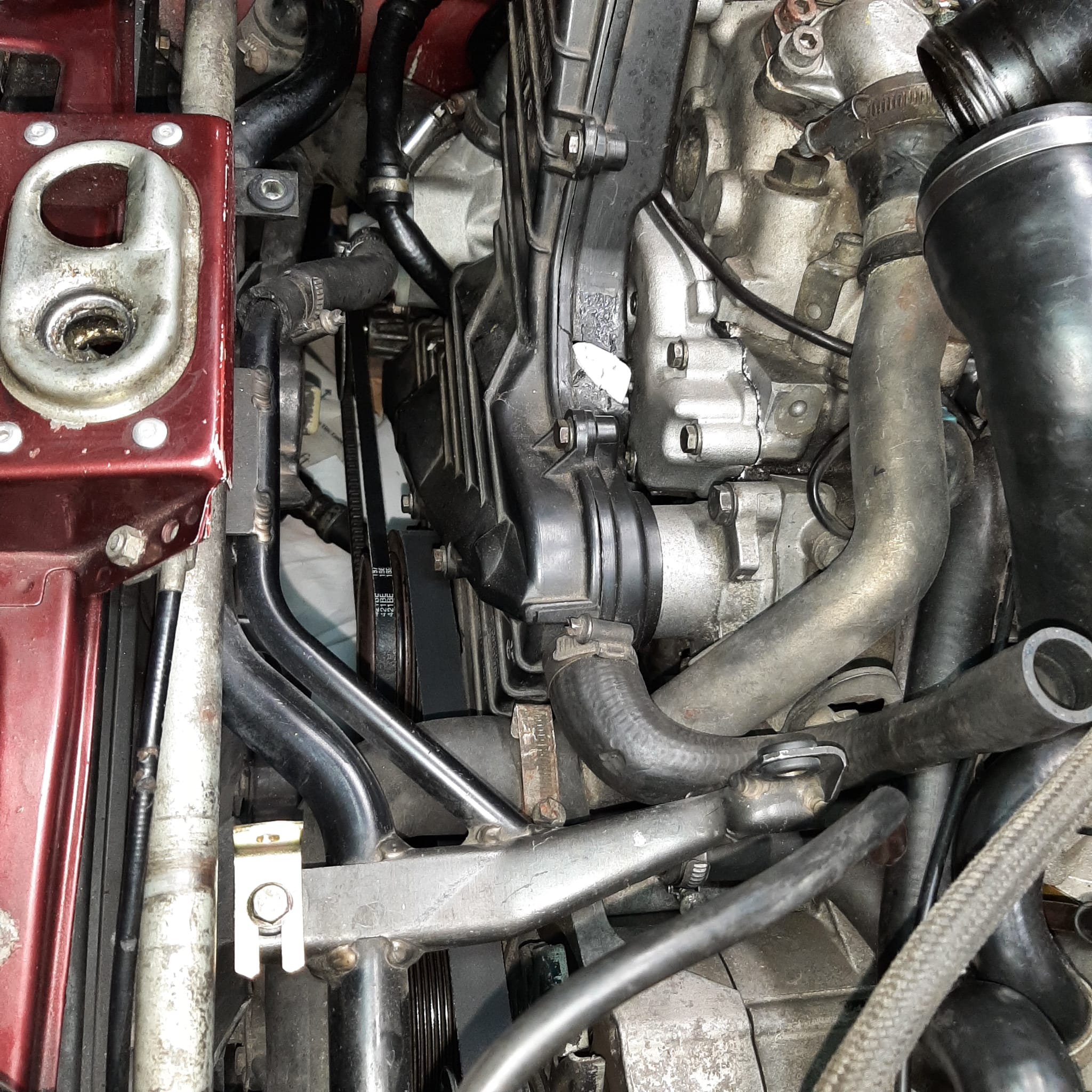 WhatsApp Image 2024-03-12 at 11.27.12.jpeg