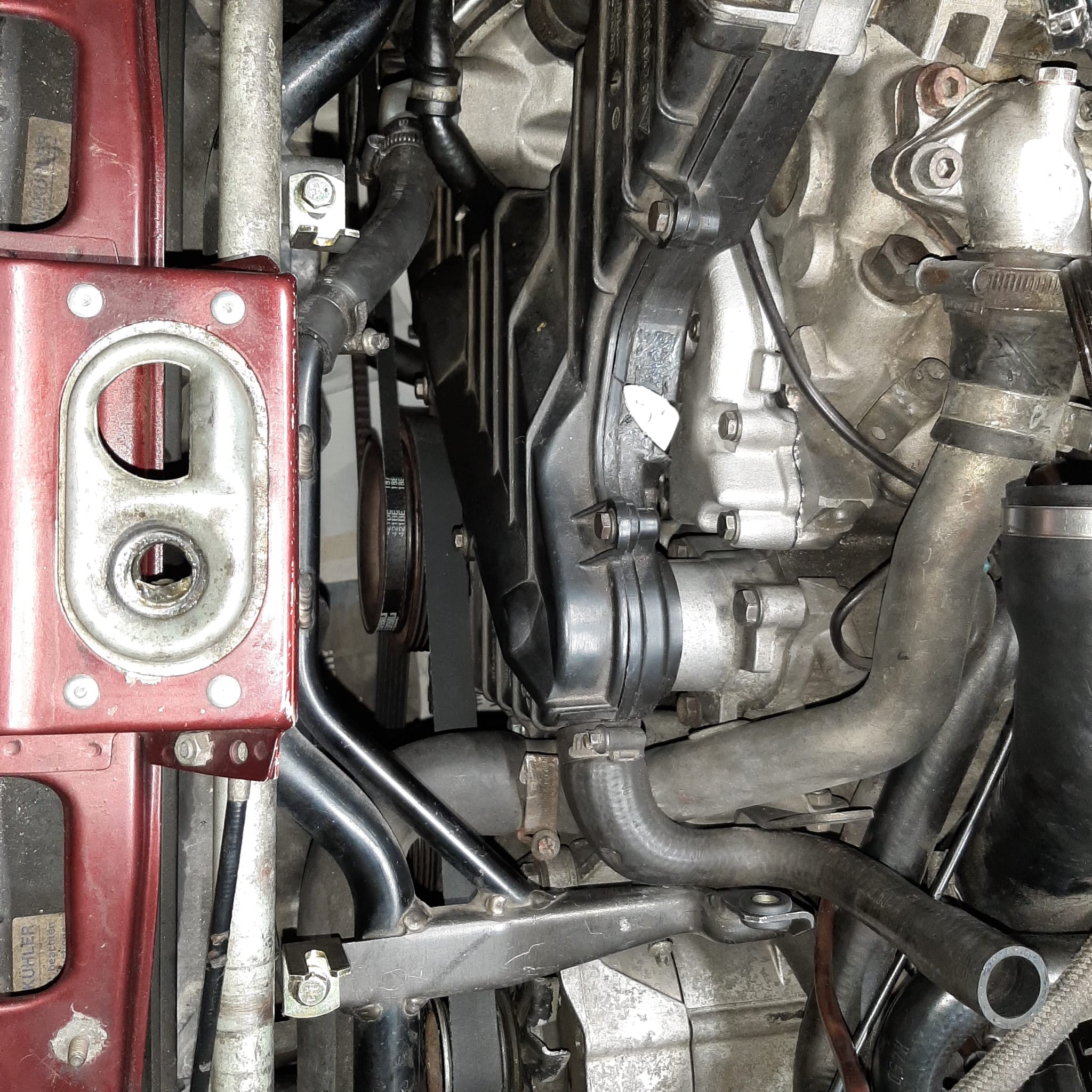 WhatsApp Image 2024-03-12 at 11.27.08.jpeg