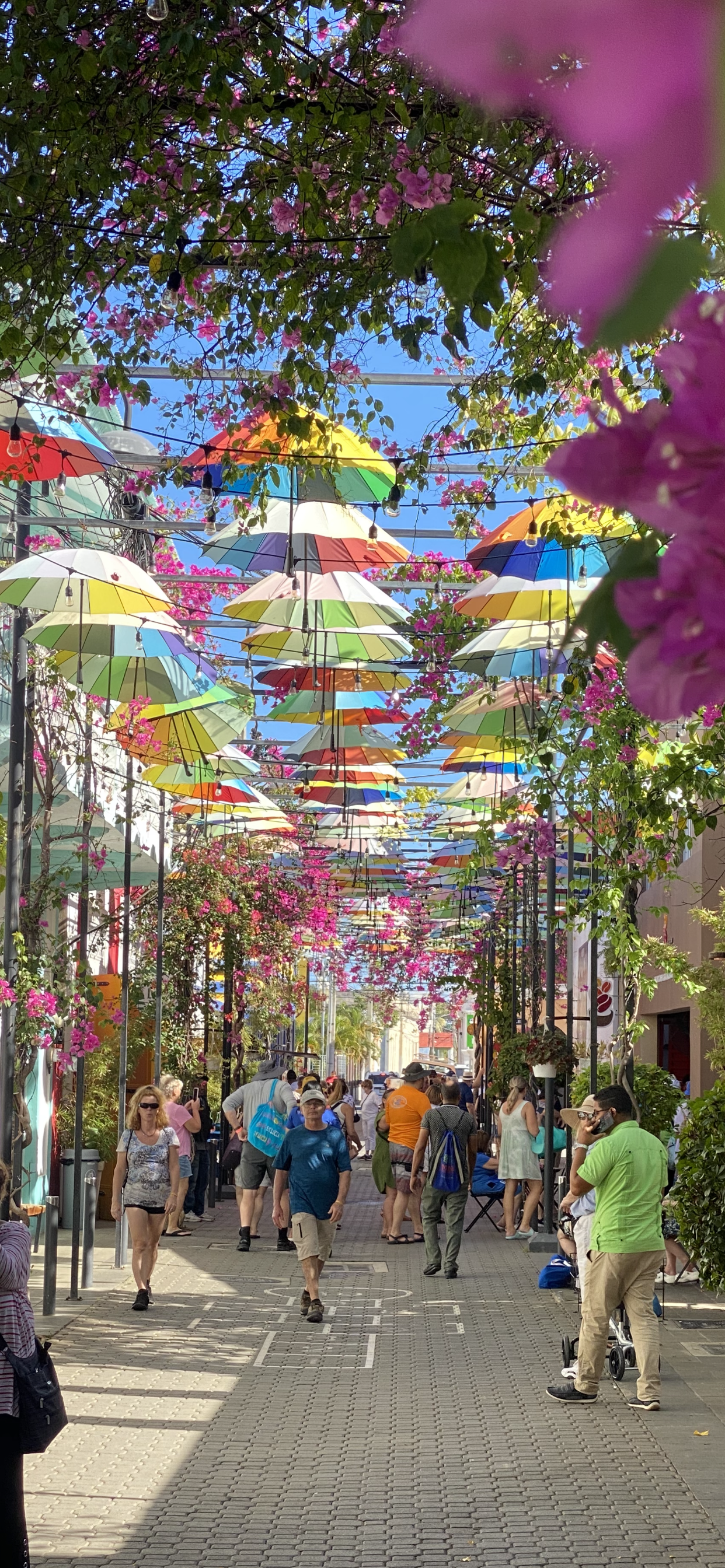 Umbrella Street Dominican Republic
