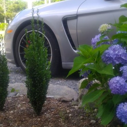 IMG_20220704_165316[6360]gts in the beds (3).jpg