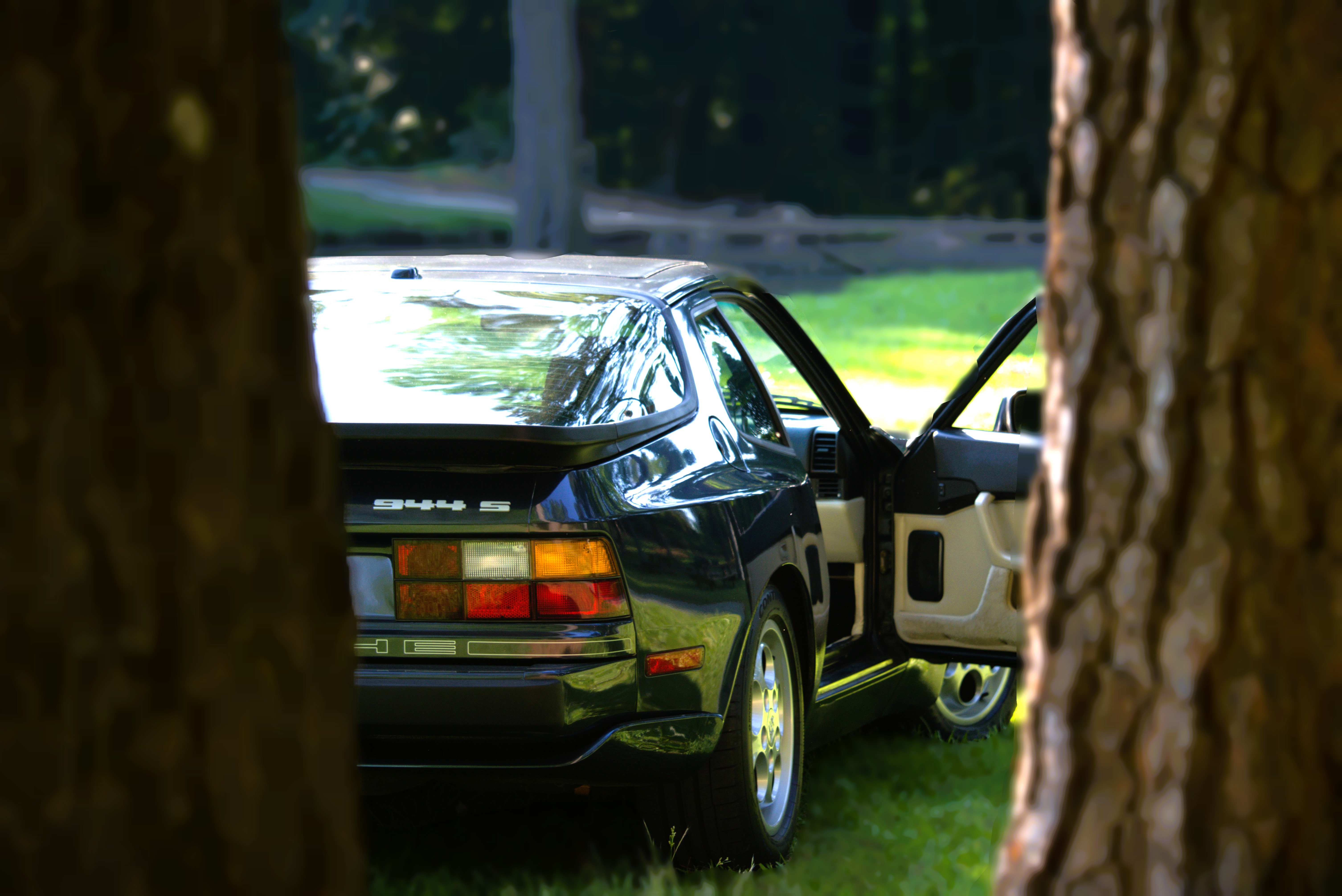 Between Two Ferns.jpg