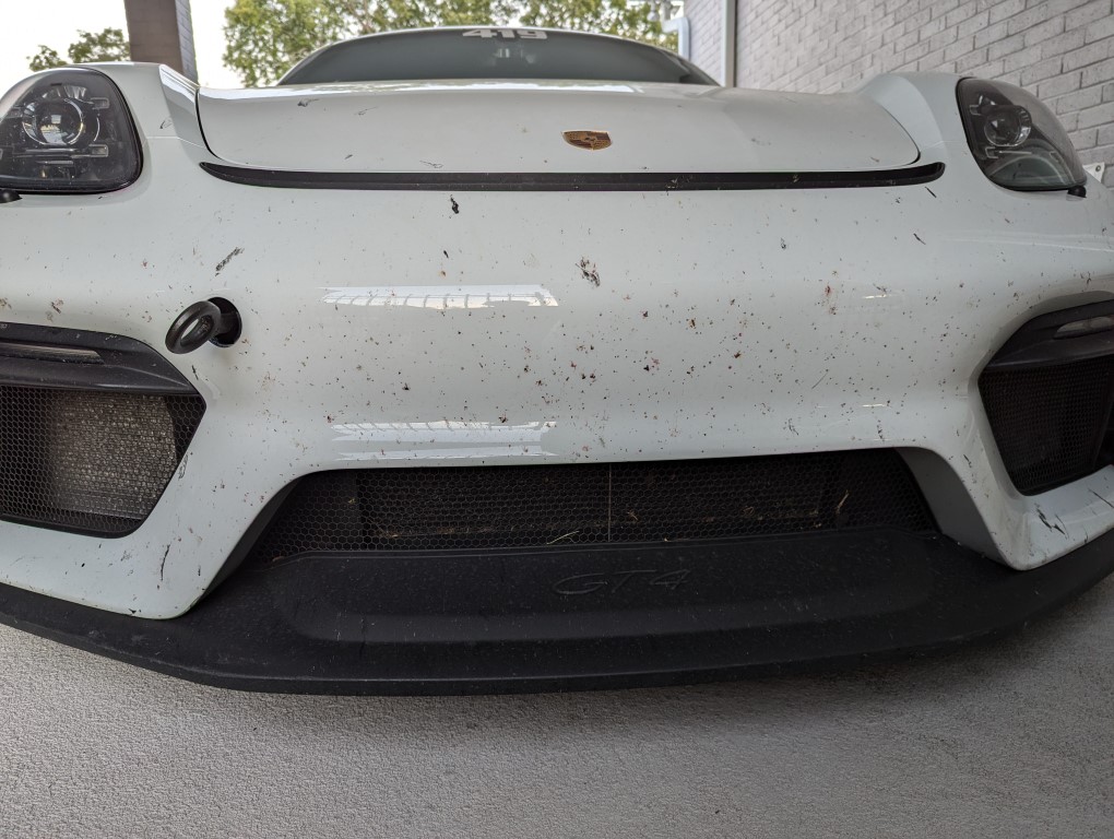 PXL_20240826_002359182 (Medium).jpg