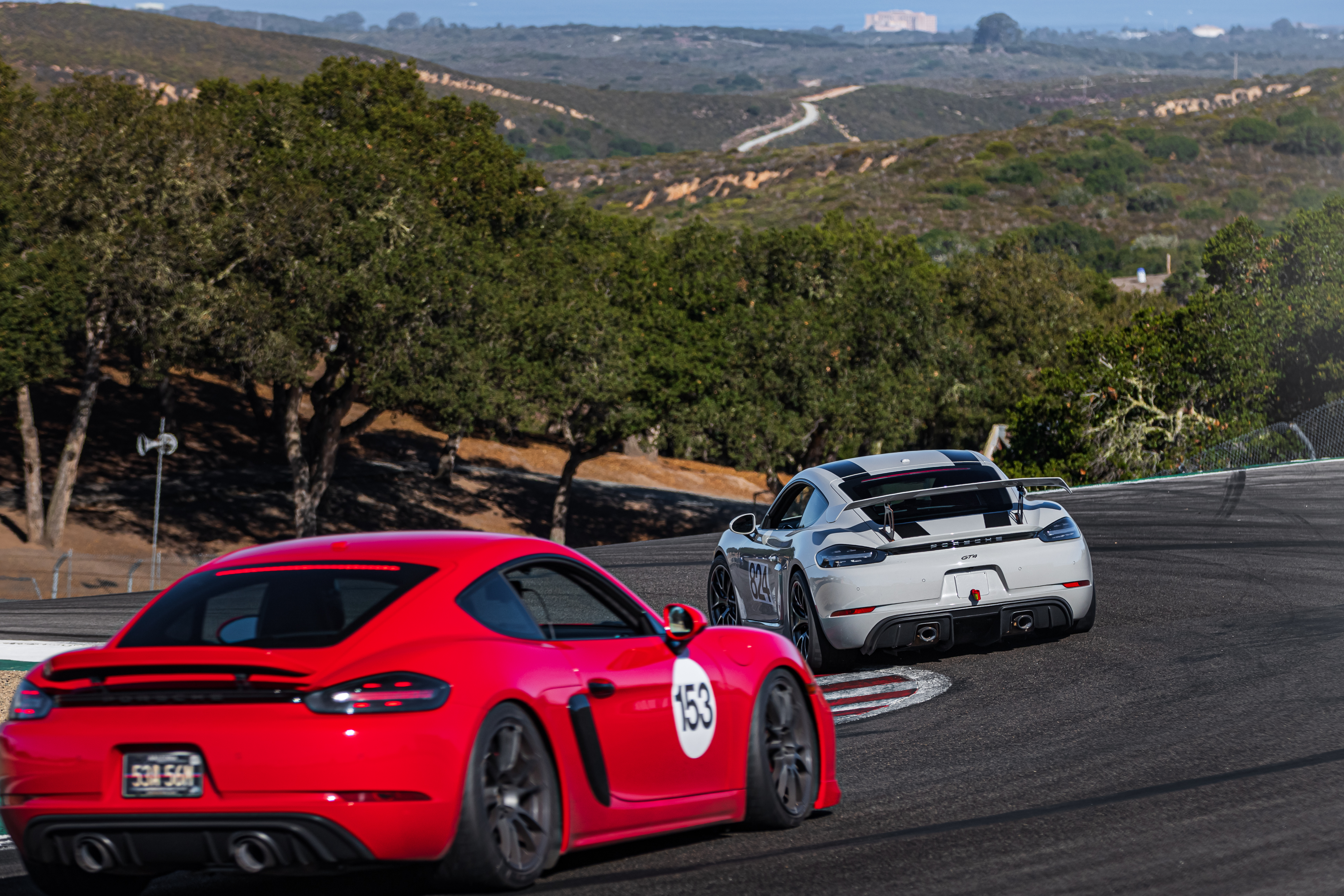 LS10-4LS-153, 824-4453.jpg