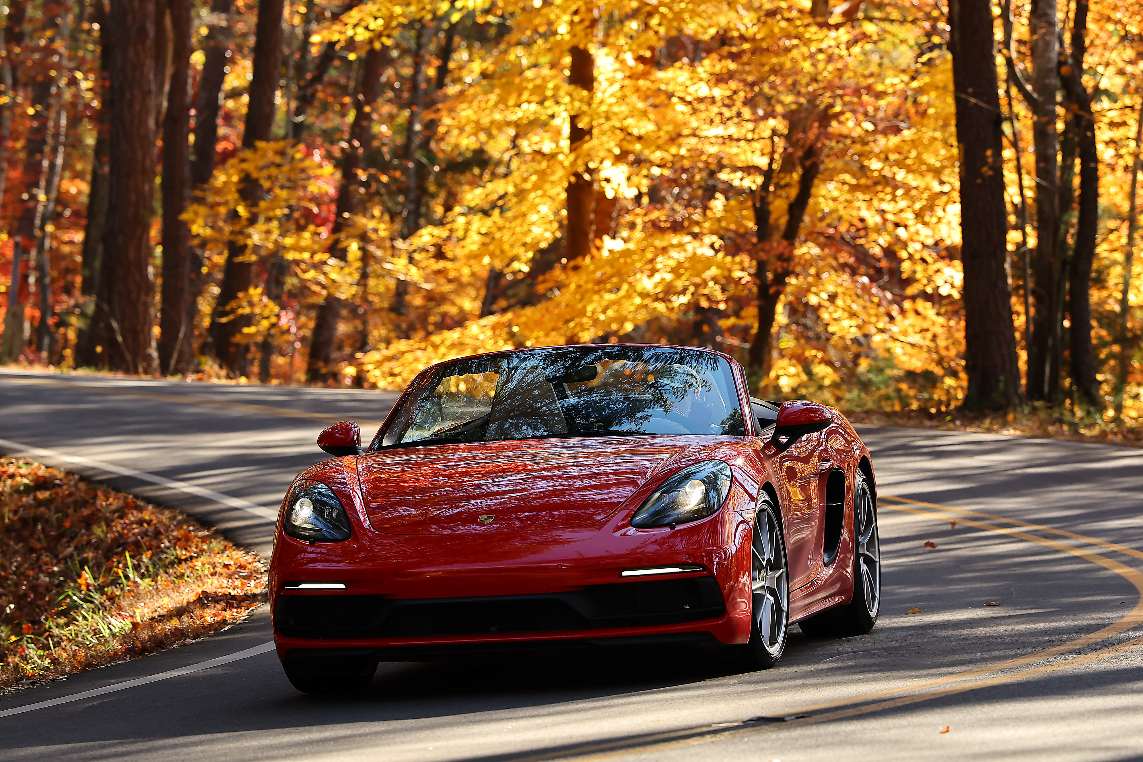 Tail of the Dragon 2025.jpg