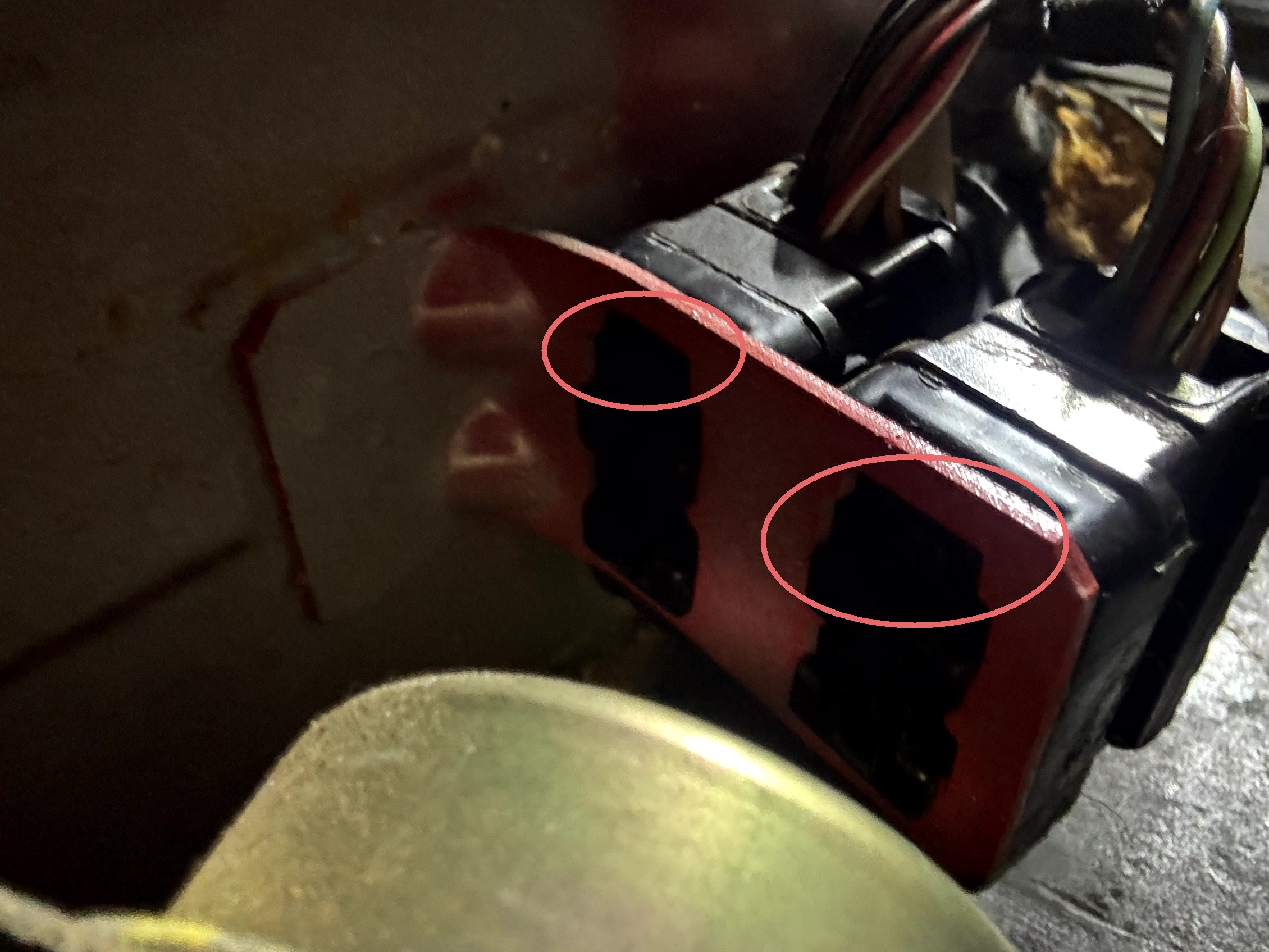 okyg rekease rano.jpg