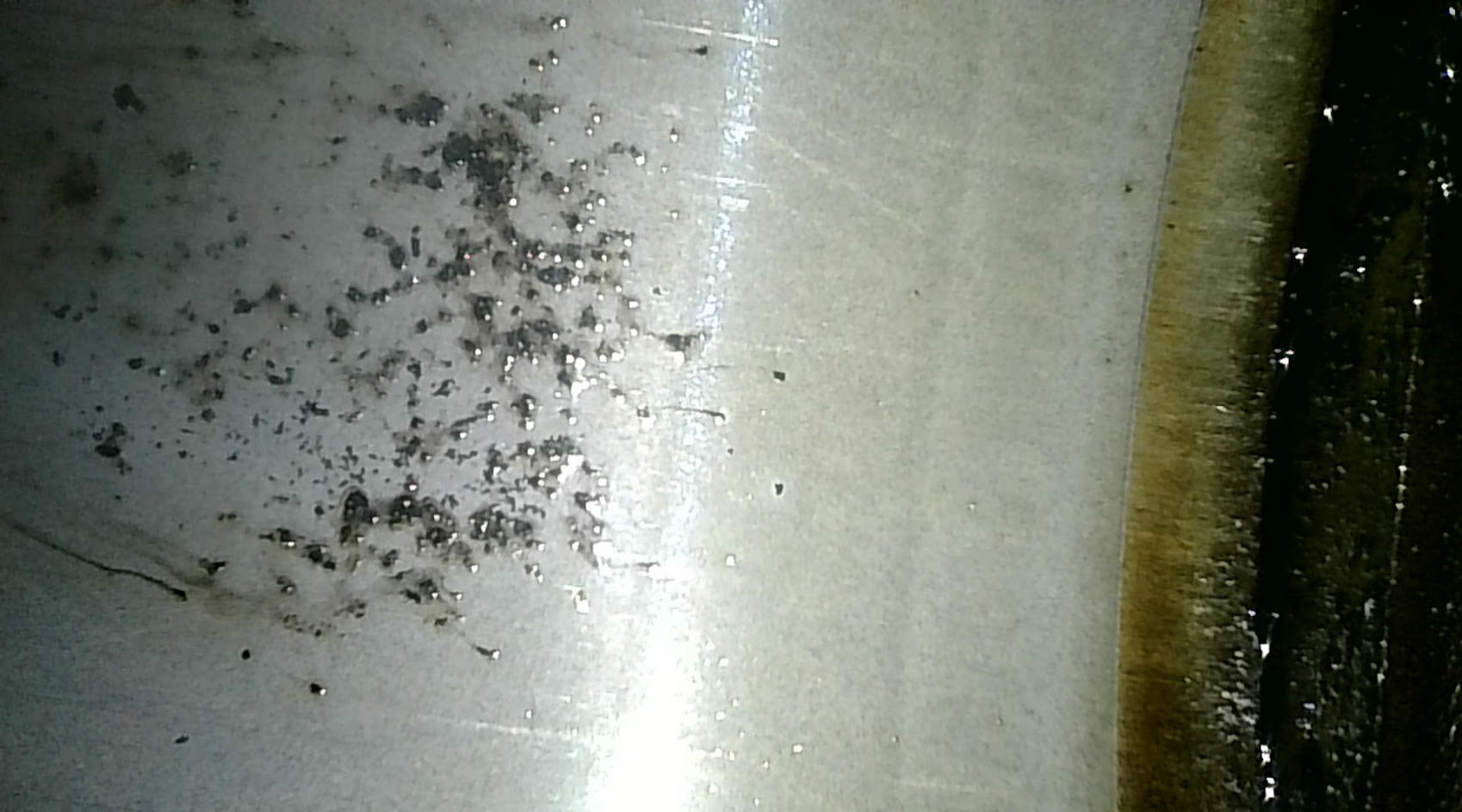 Photo_2026-01-27 17_03_16_776.JPG