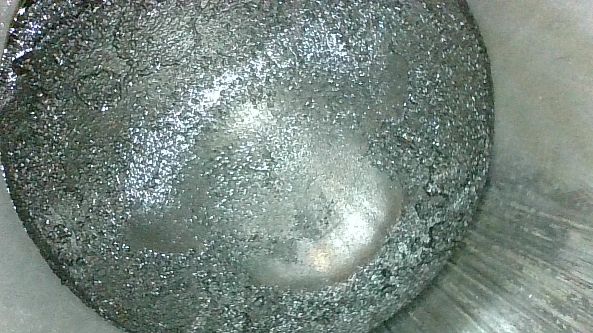 Photo_2026-01-31 12_23_56_882.JPG