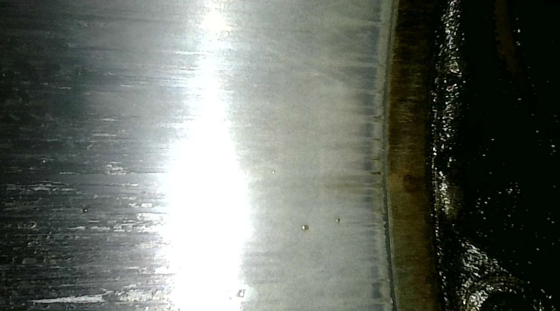 Photo_2026-01-31 12_24_29_708.JPG