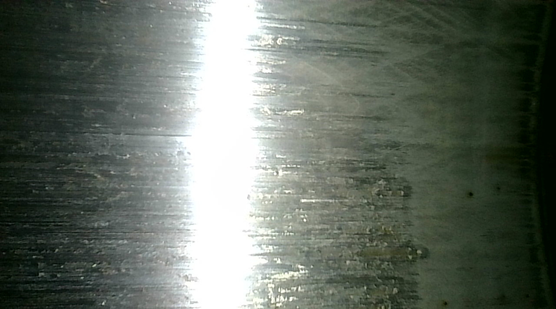 Photo_2026-01-31 12_25_07_263.JPG