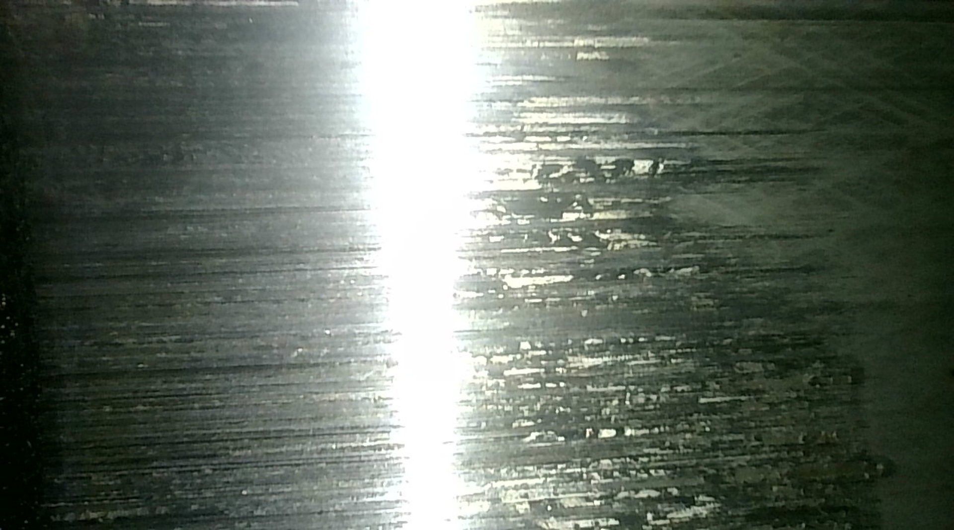 Photo_2026-01-31 12_24_40_000.JPG