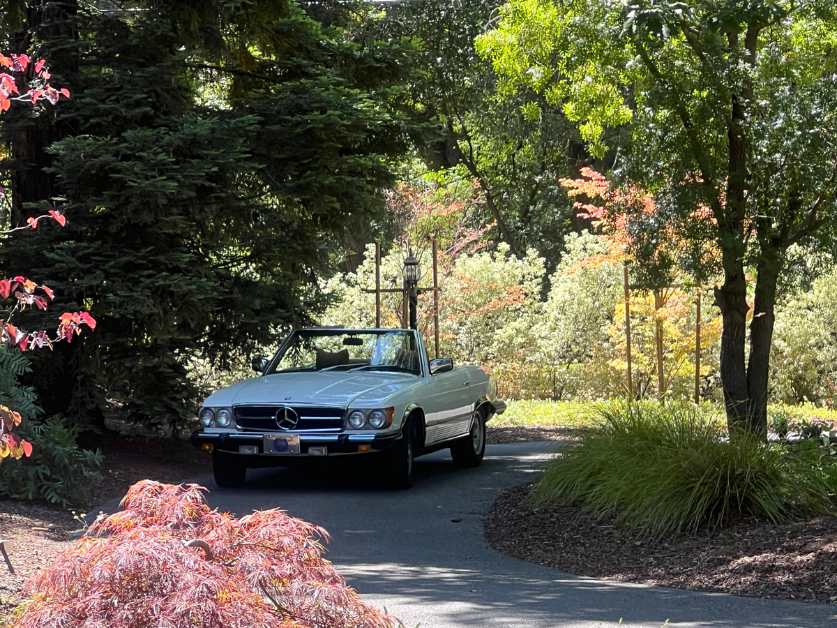 450SL-in-driveway.jpg
