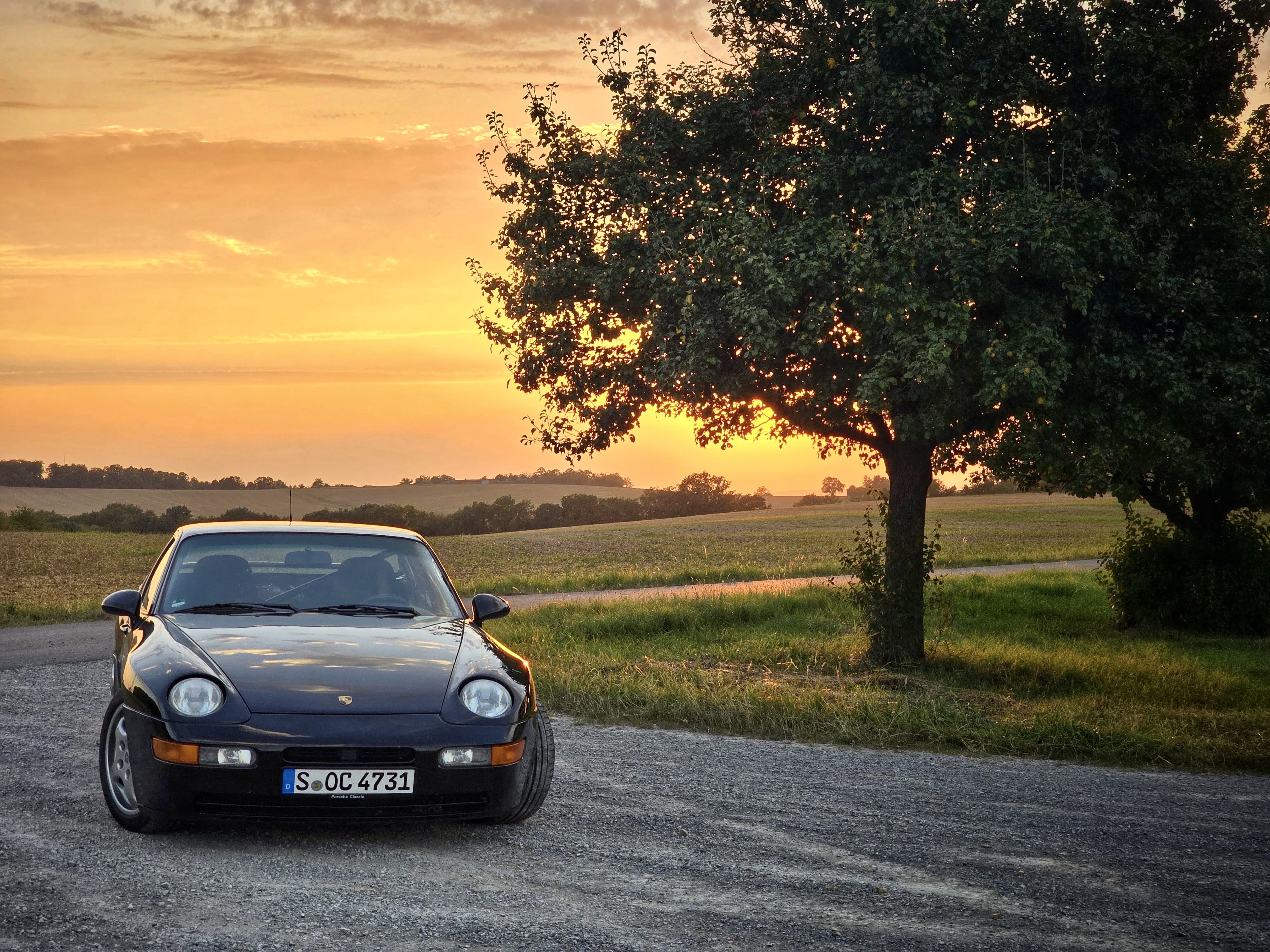 442d163d-9789-431c-b6ac-3ce58c7073ce 2.jpeg