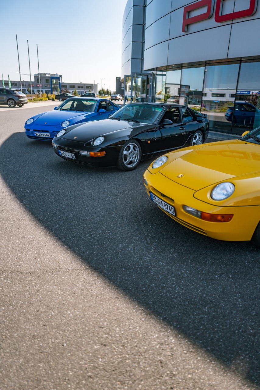 IMG_0384 3 Large.jpeg