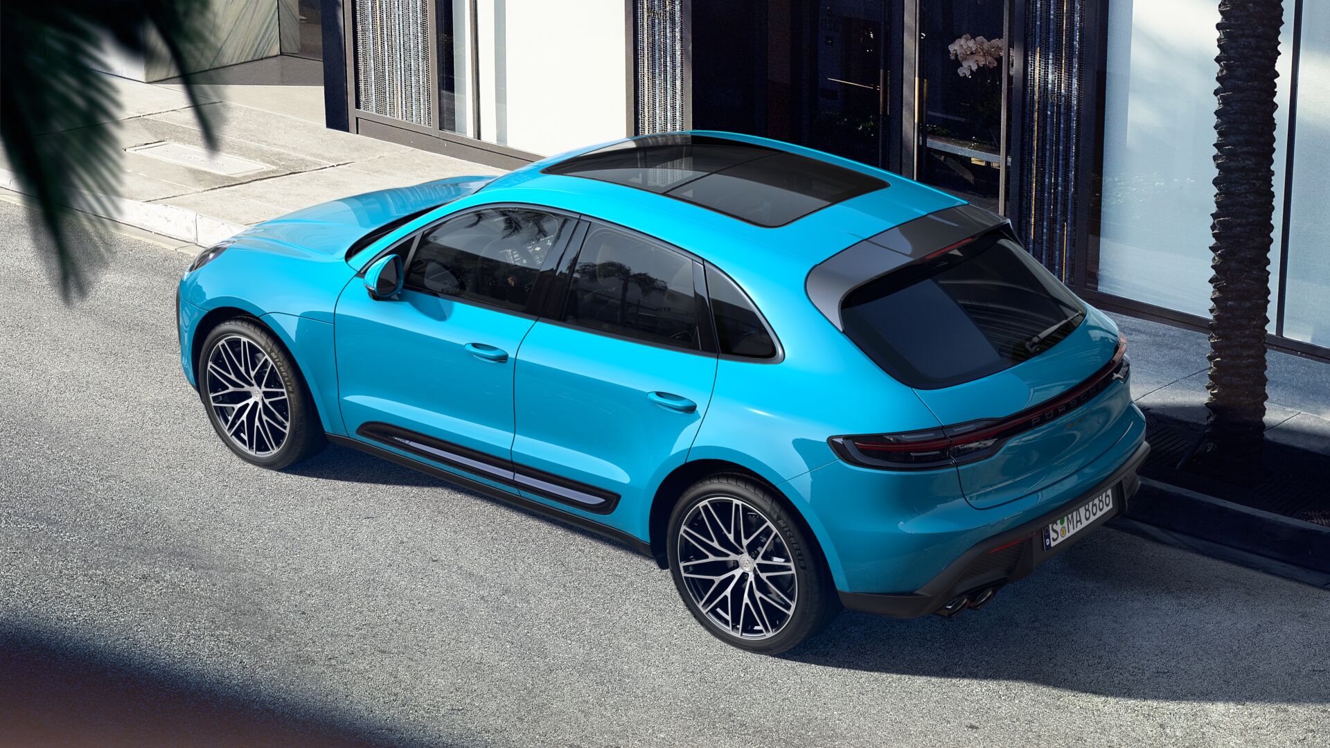 Macan Miami Blue.jpg