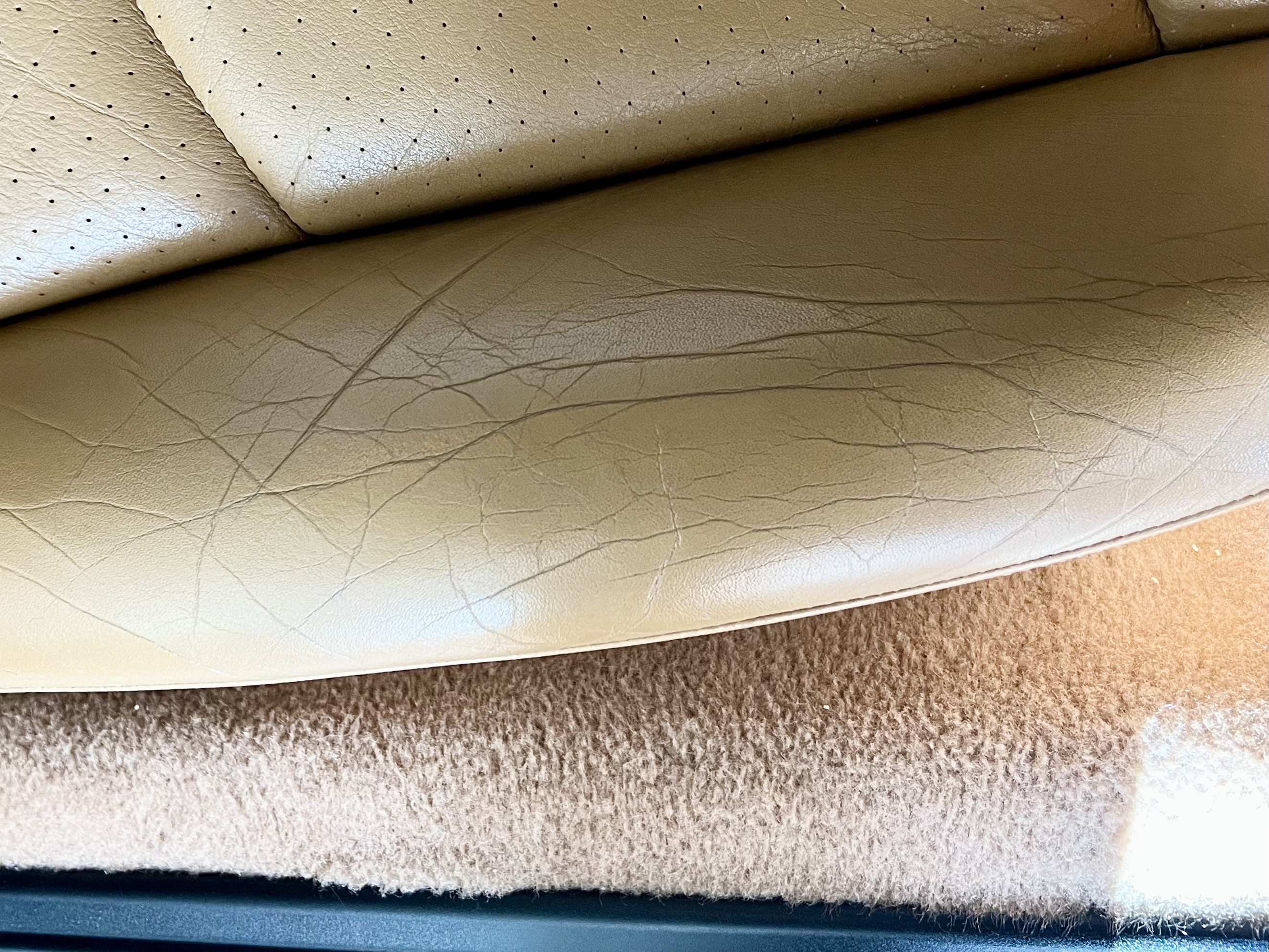 FullSizeRender 2.jpeg