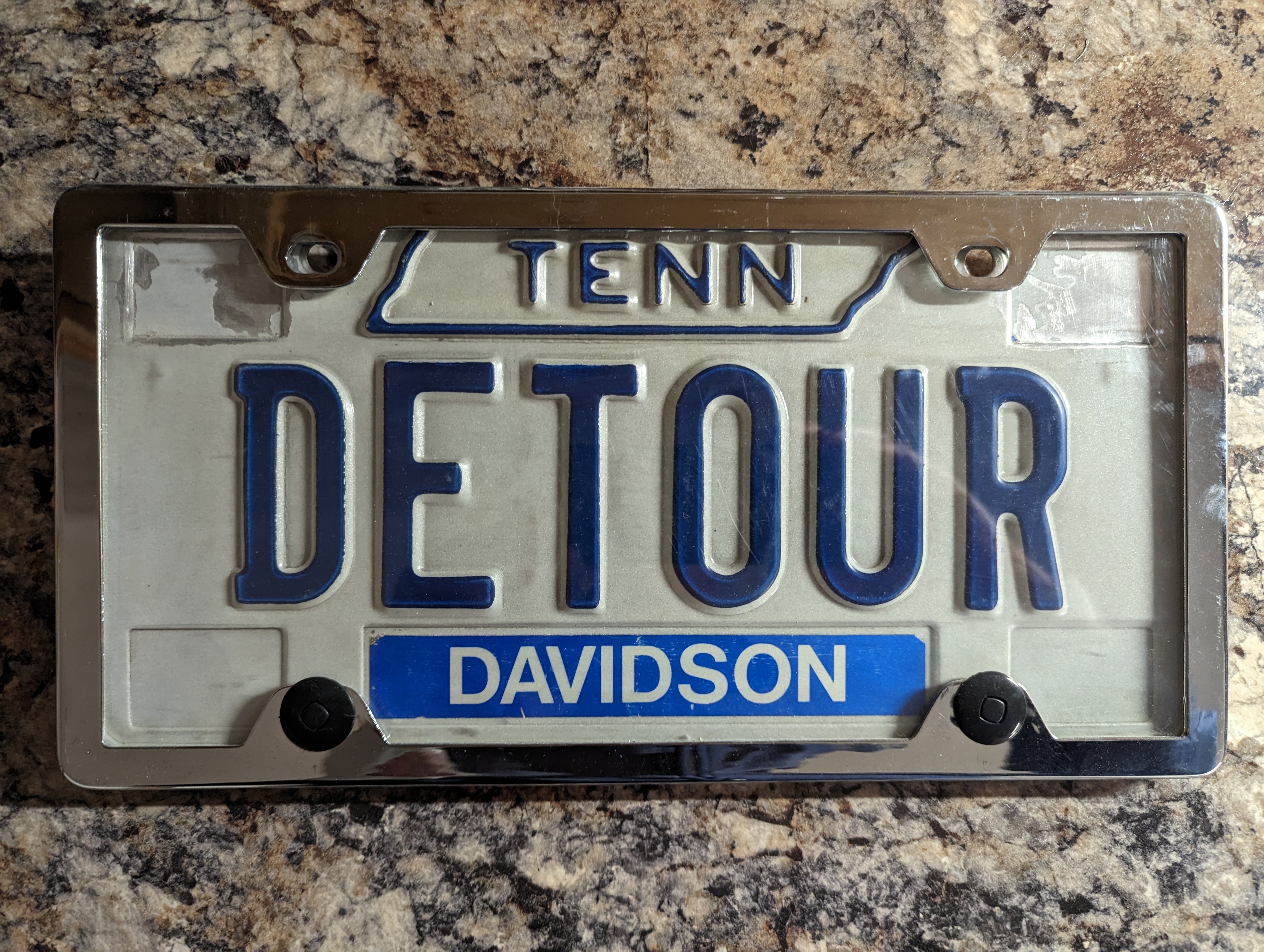 Detour - my license plate.jpg