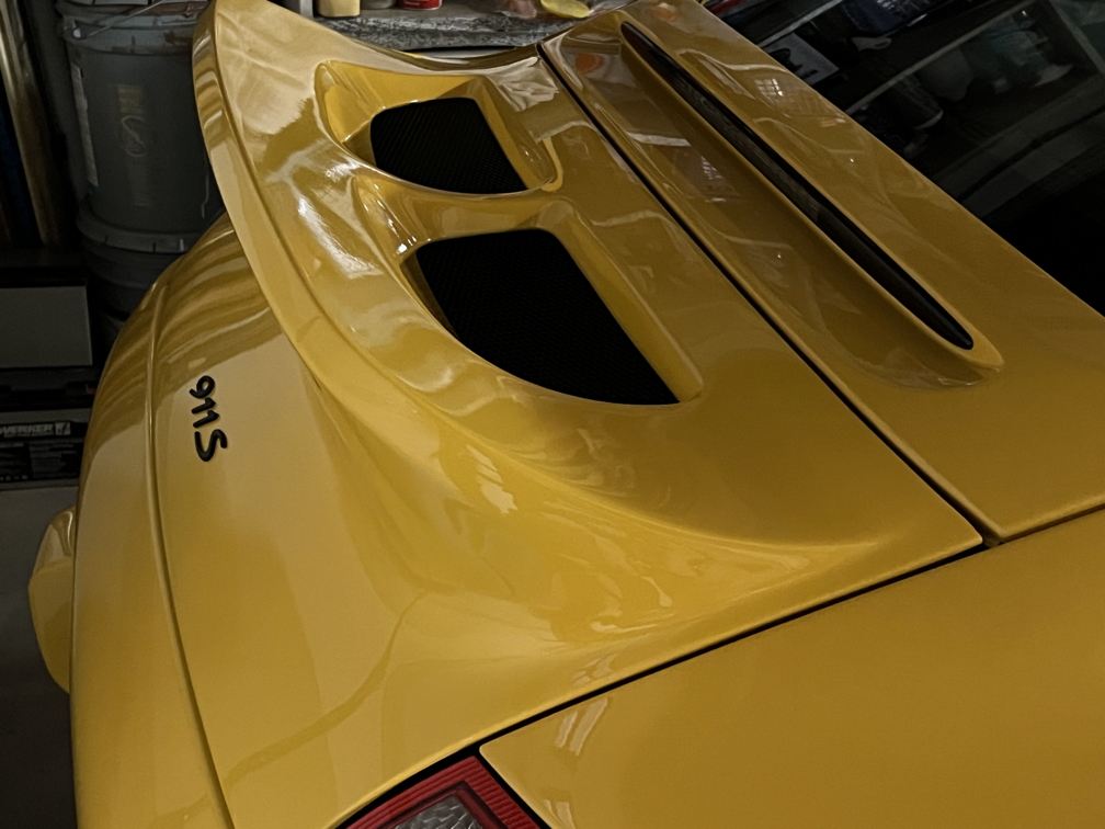 Duck Tail Close up-sm.jpg