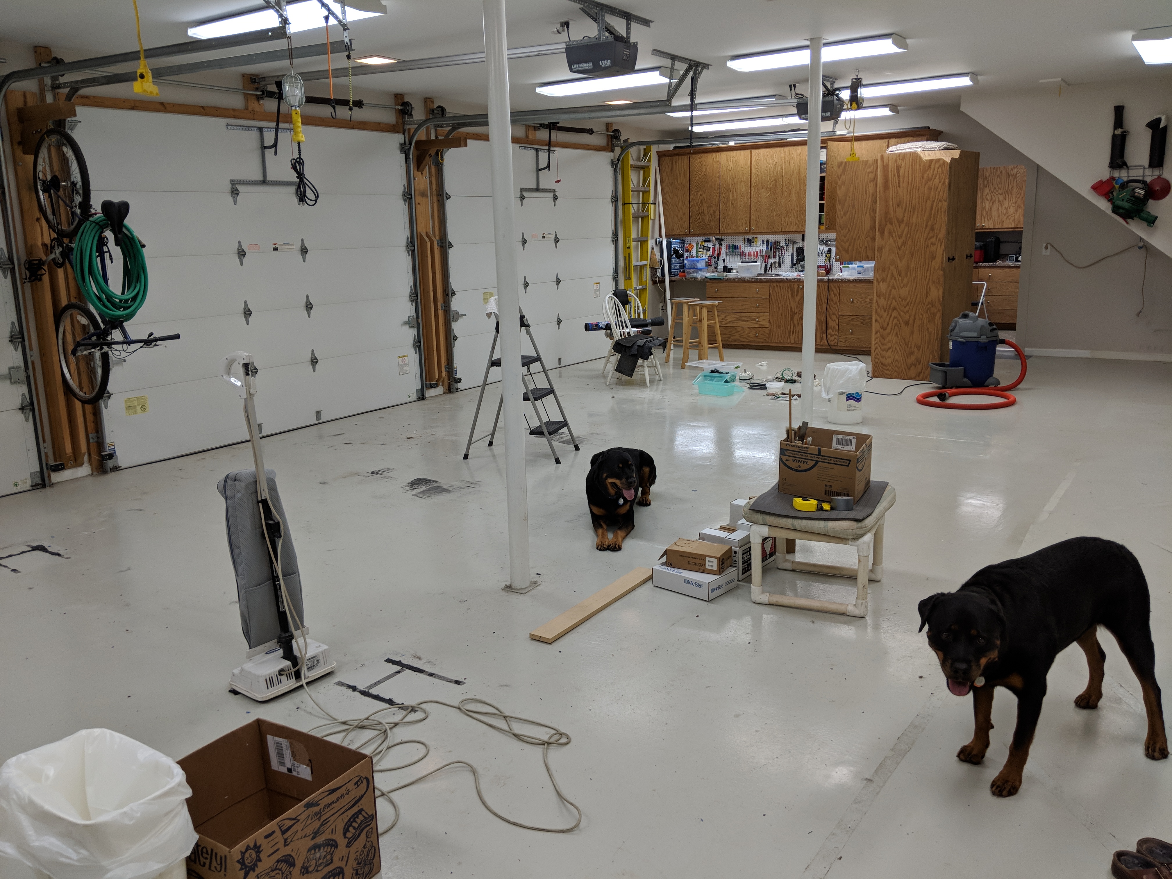 IMG_20180715_193301 - Copy.jpg