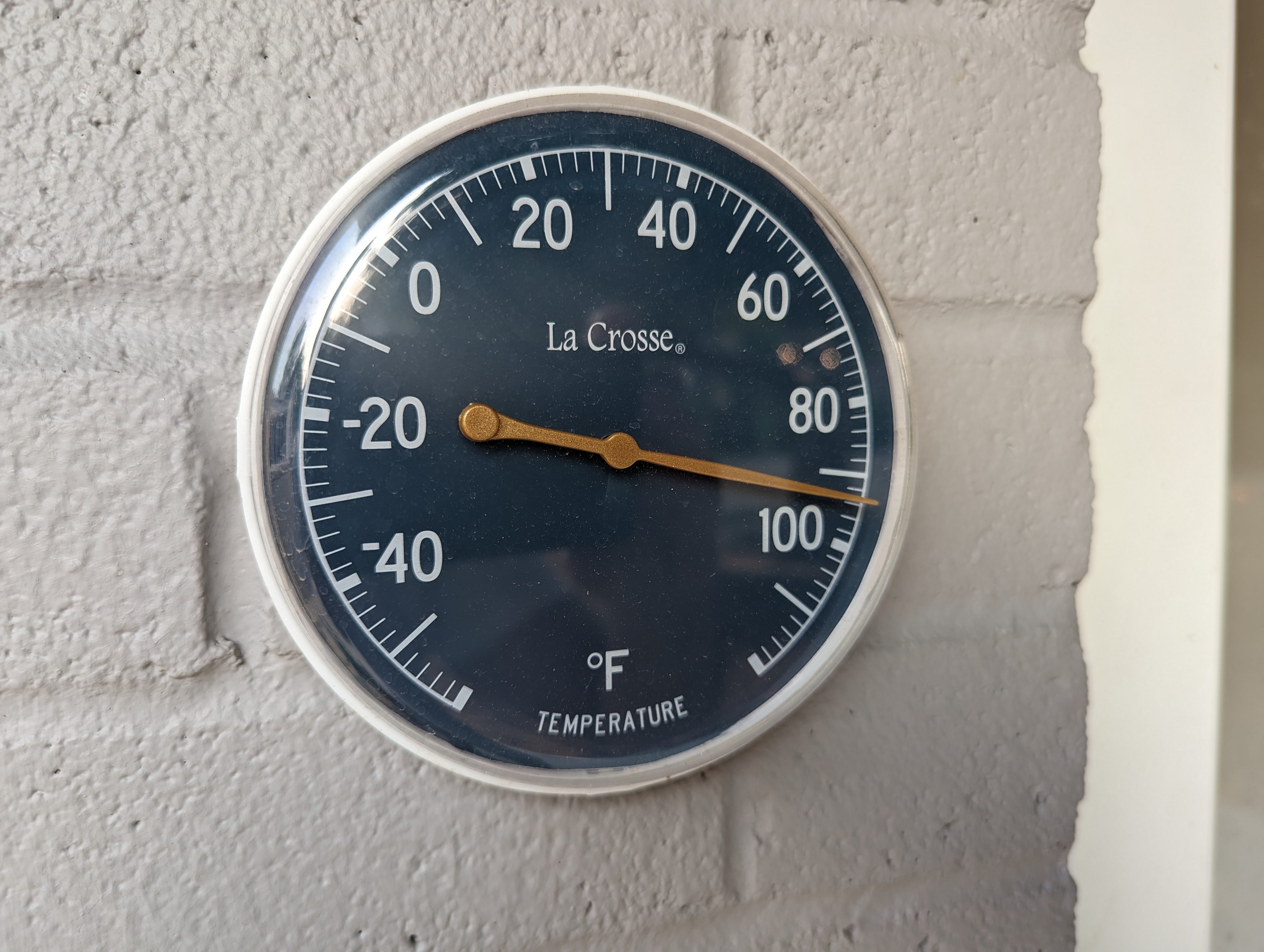 PXL_20230606_234301782 - Copy.jpg