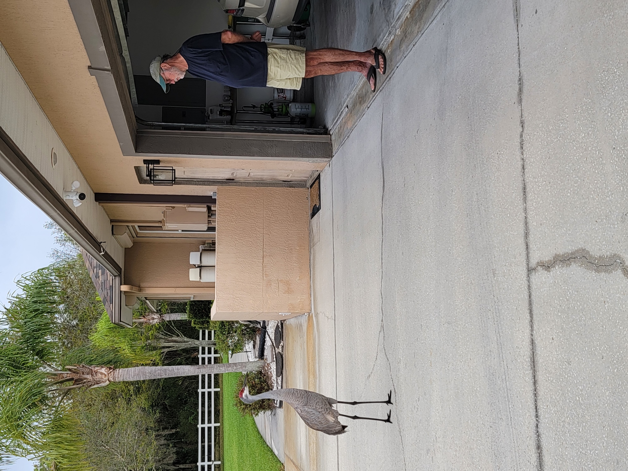 george and the crane.jpg